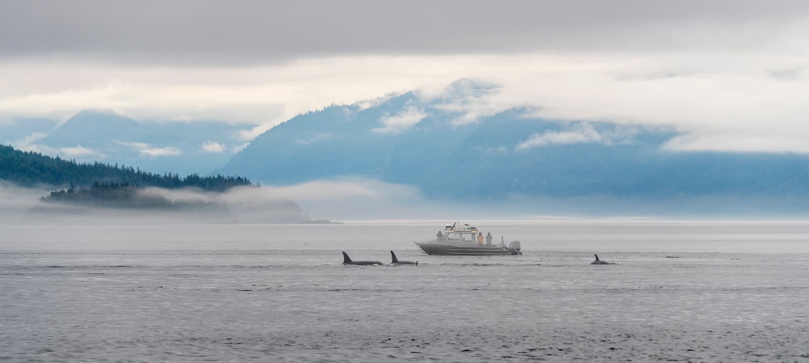 Alaska (Inside Passage Kurs Nord) – Wildniswunder auf verschlungenen Seewegen