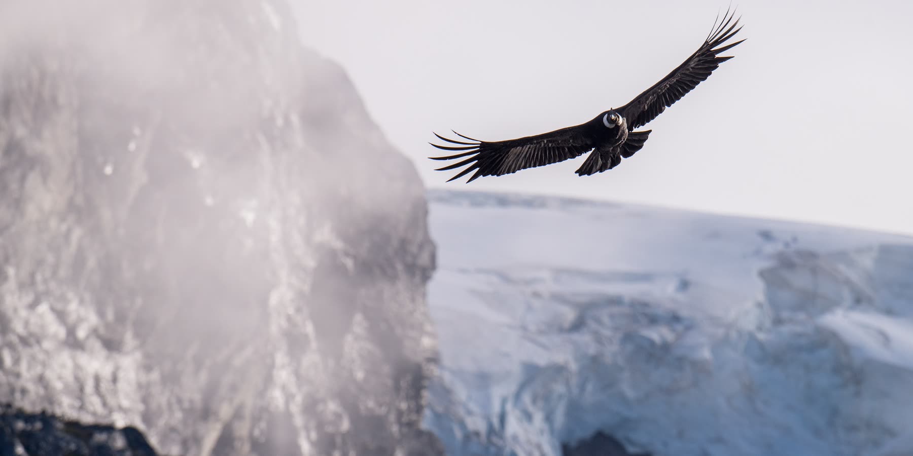 Zodiac-Anlandung am Gletscher — Foto: Antarctica21