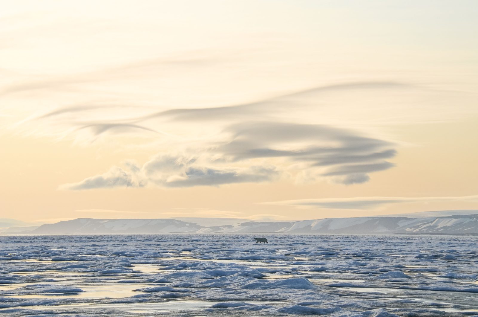 Foto: PolarQuest