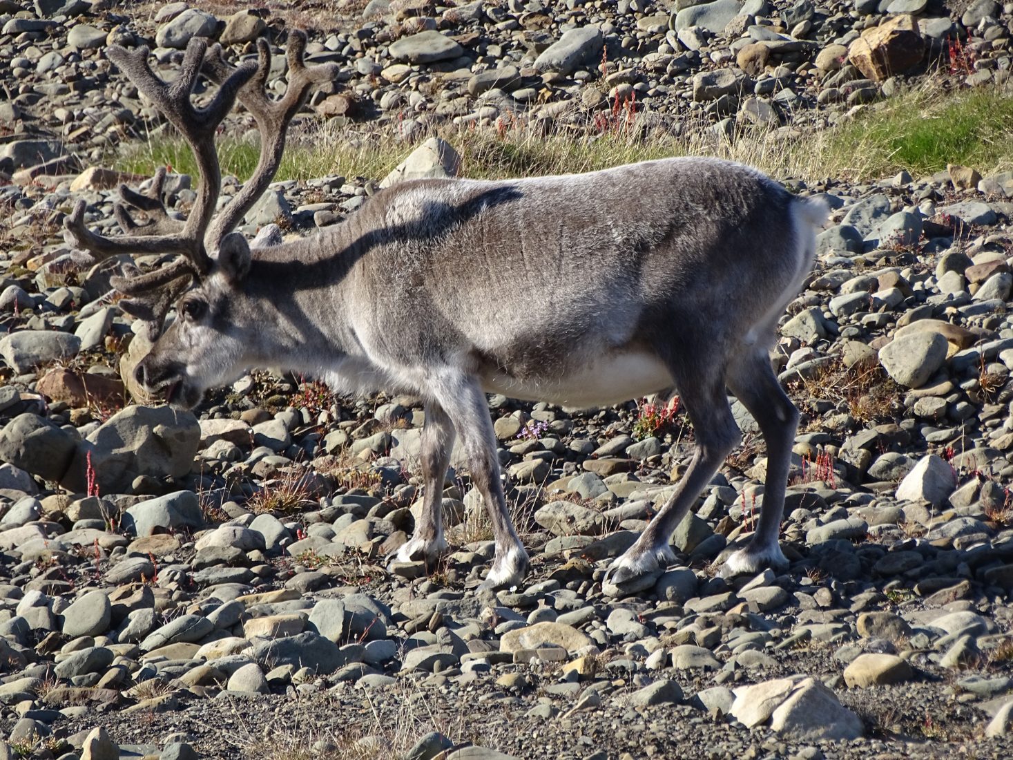 Reiseverlauf