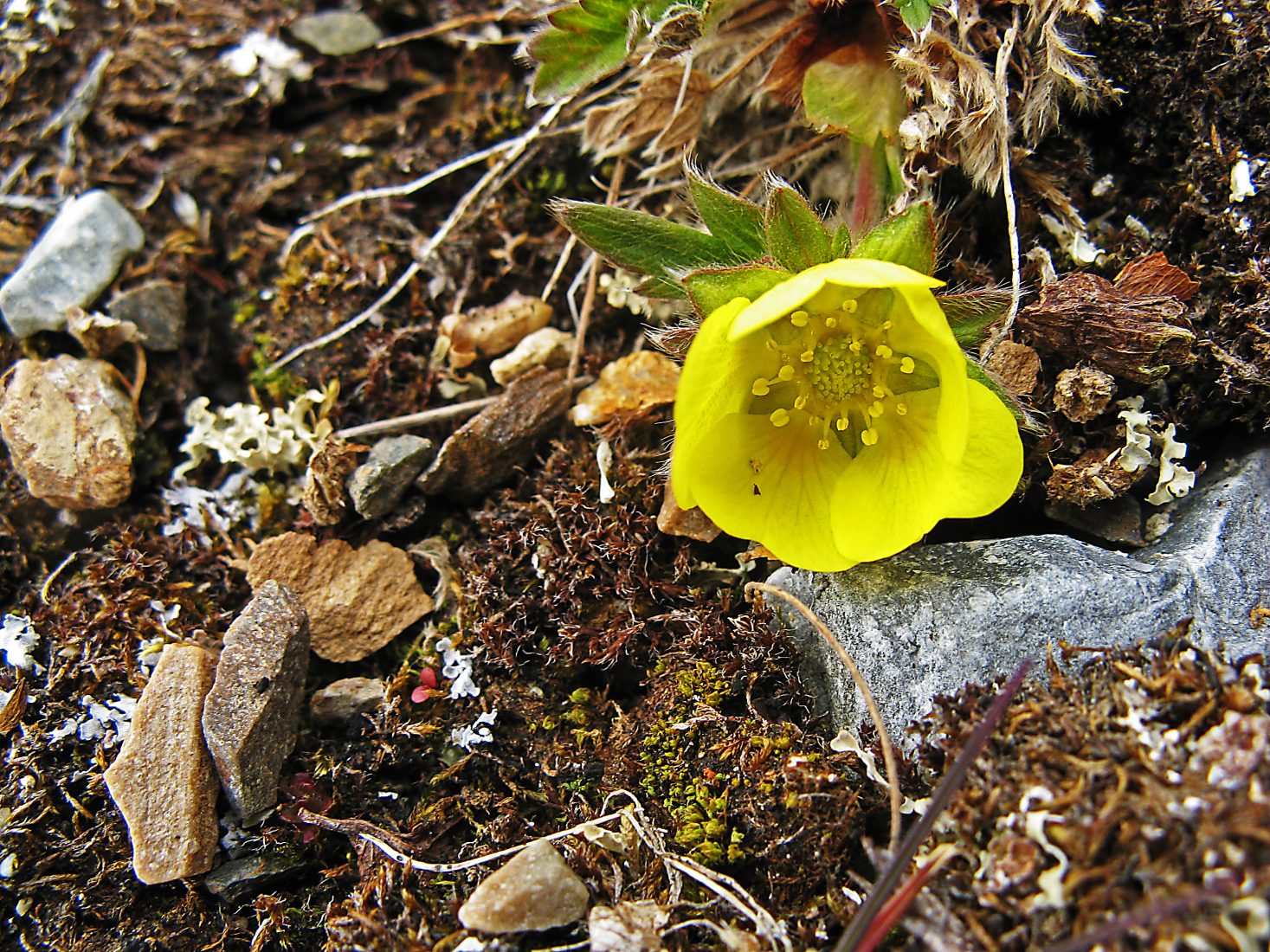 Reiseverlauf