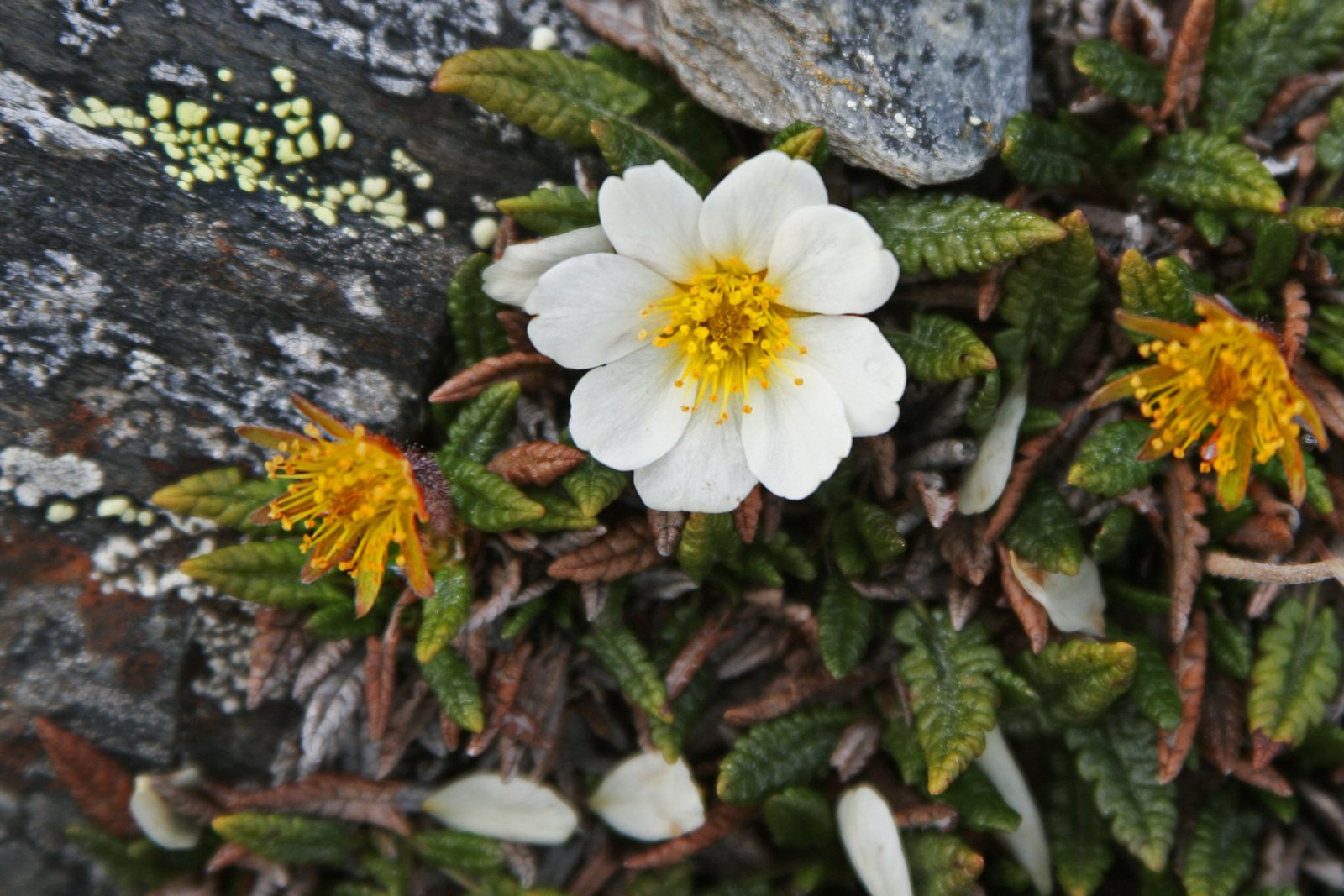 Reiseverlauf