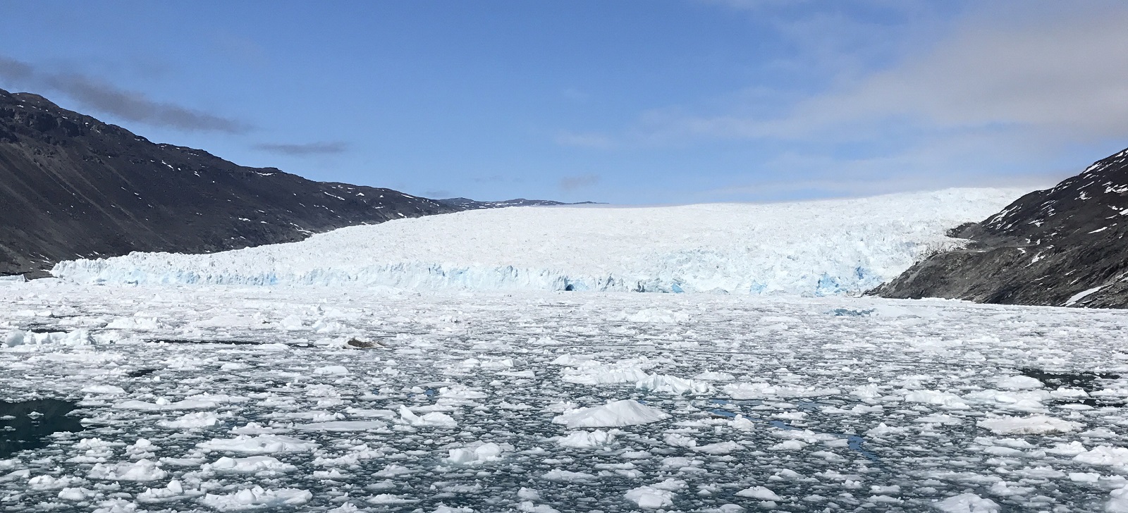 ENTLANG DER WESTKÜSTE GRÖNLANDS VON NUUK NACH ILULISSAT | CAPE RACE, 2026