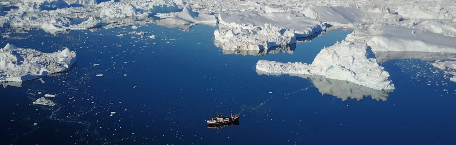 DISKO BUCHT UND UUMMANNAQ | CAPE RACE, 2026