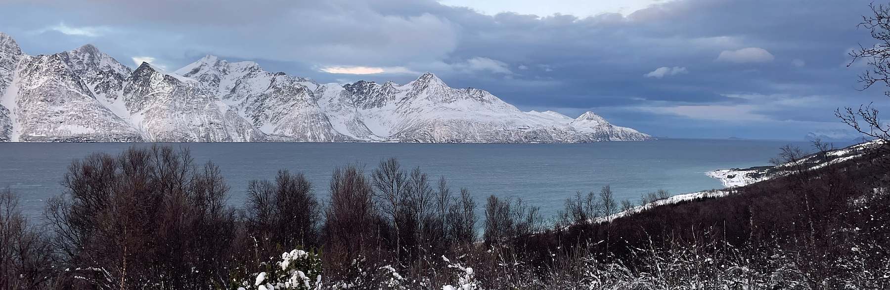 Wale & Nordlichter in Nordnorwegen - Reise begleitet von Birgit Lutz | SV MEANDER