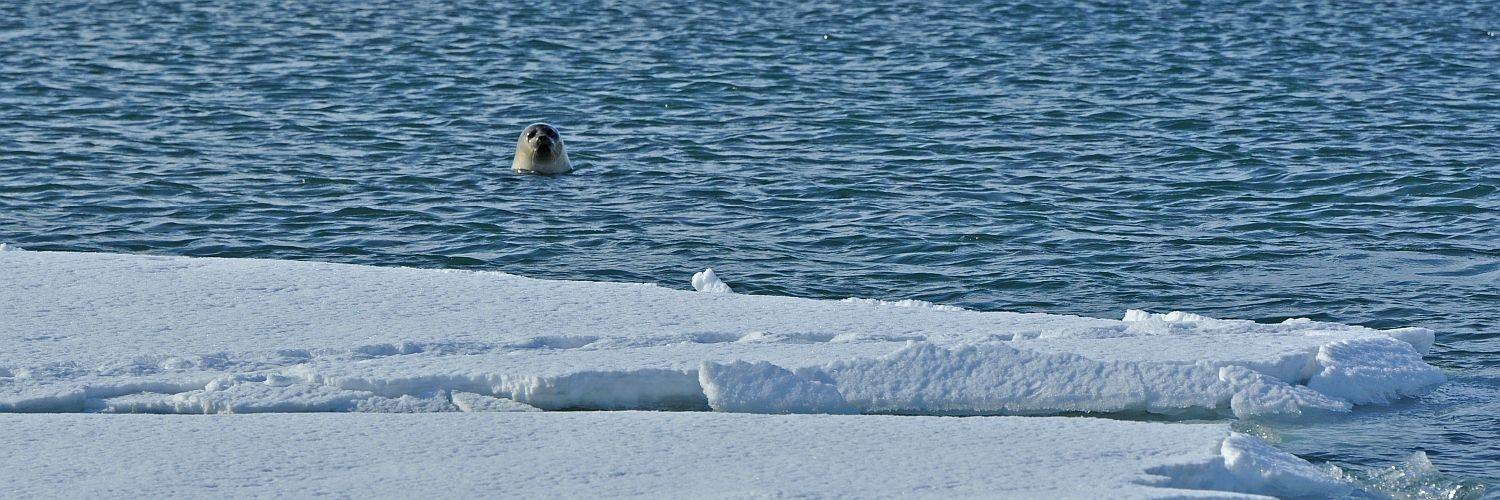 Foto: Oceanwide Expeditions
