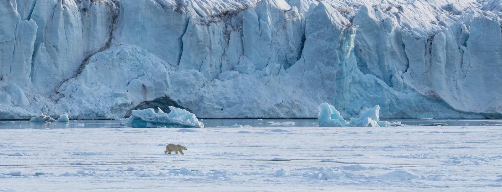 Spitzbergen im Zauber des Eises | MS SJØVEIEN