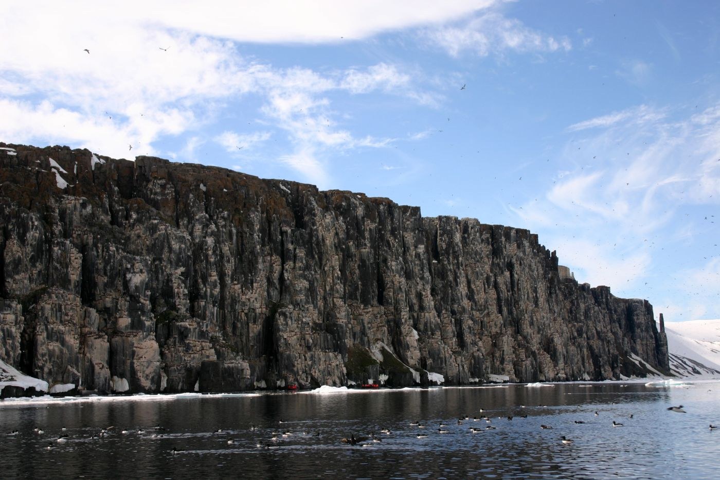 Alkefjellet, the birdcliff packed with Brunnich's Guillemot, Spitsbergen, July — Foto: Oceanwide Expeditions