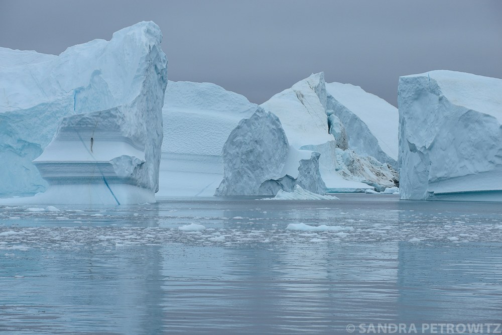 Eisberge in Nordostgroenland — Foto: Oceanwide Expeditions