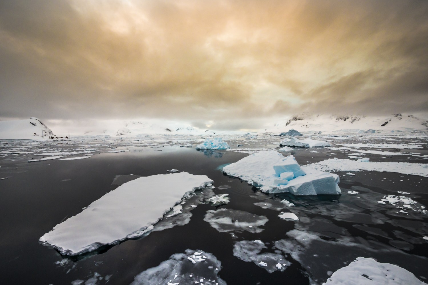 Antarktische Halbinsel — Foto: Oceanwide Expeditions
