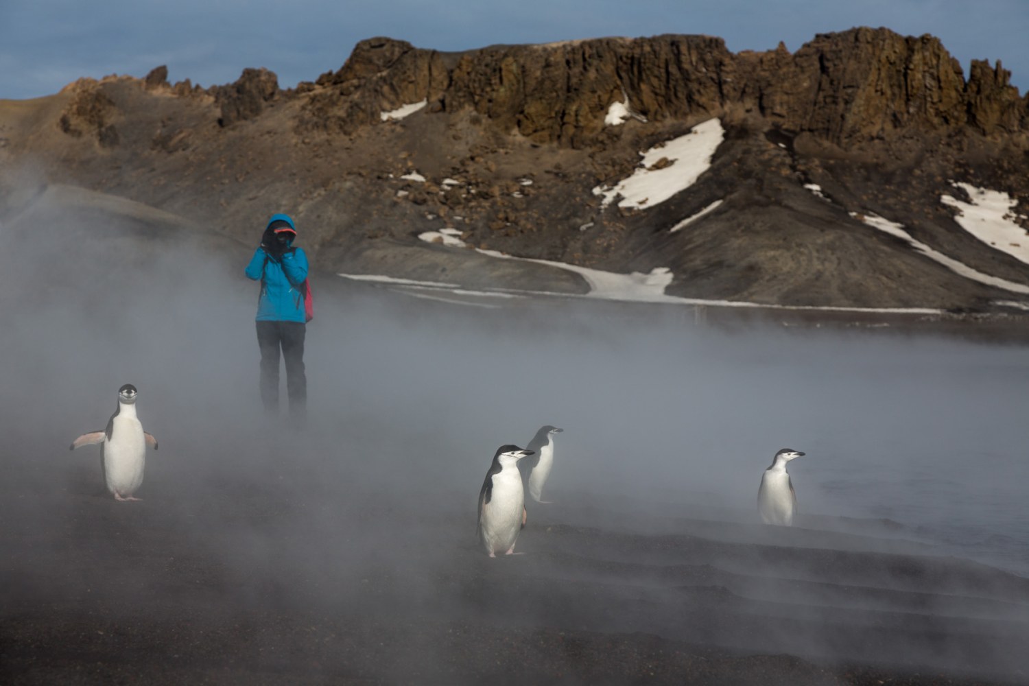 Eisfelder der Shetlandinseln — Foto: Oceanwide Expeditions