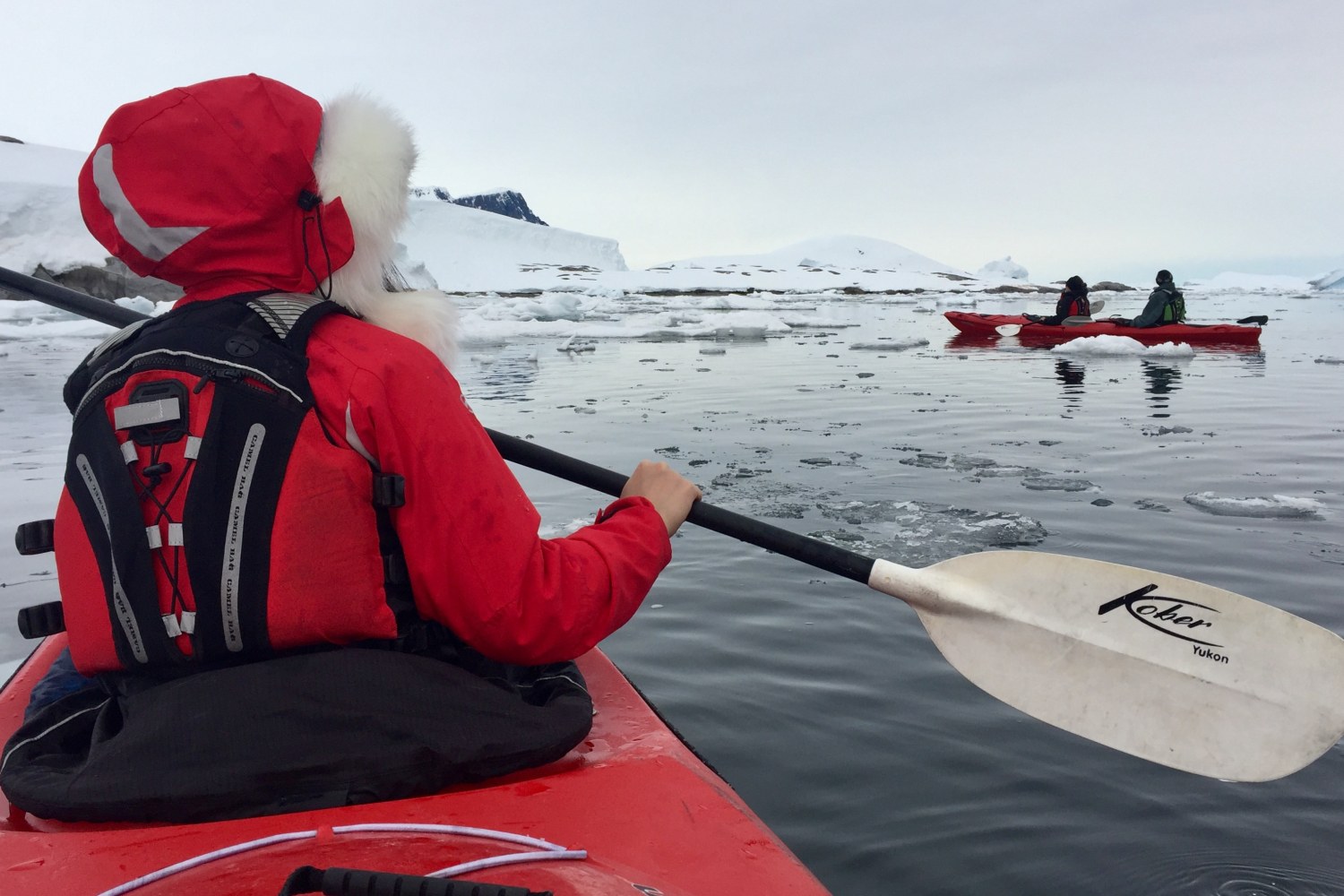 Kajakfahren in der Antarktis — Foto: Oceanwide Expeditions