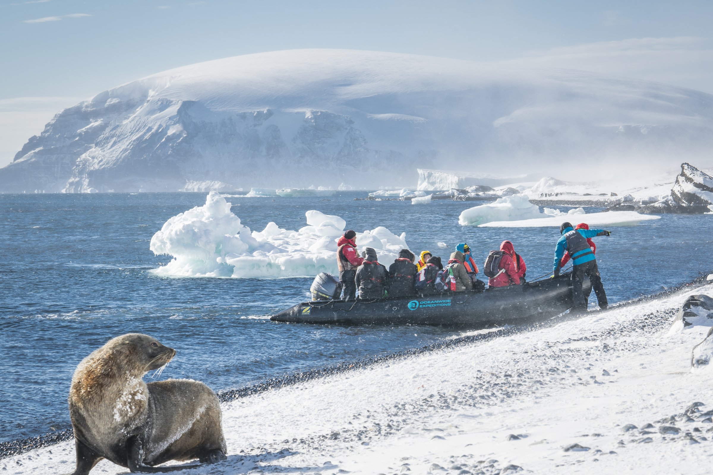 Anlandung Brown Bluff · Antarktische Halbinsel — Foto: Oceanwide Expeditions