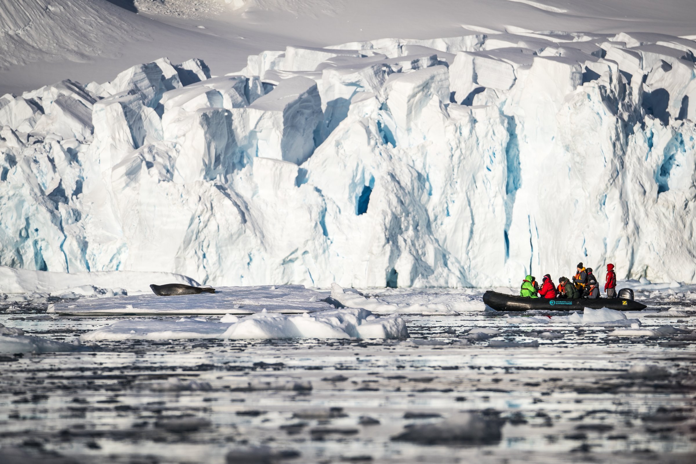 Zodiac-Tour zur Tierwelt der Antarktis — Foto: Oceanwide Expeditions