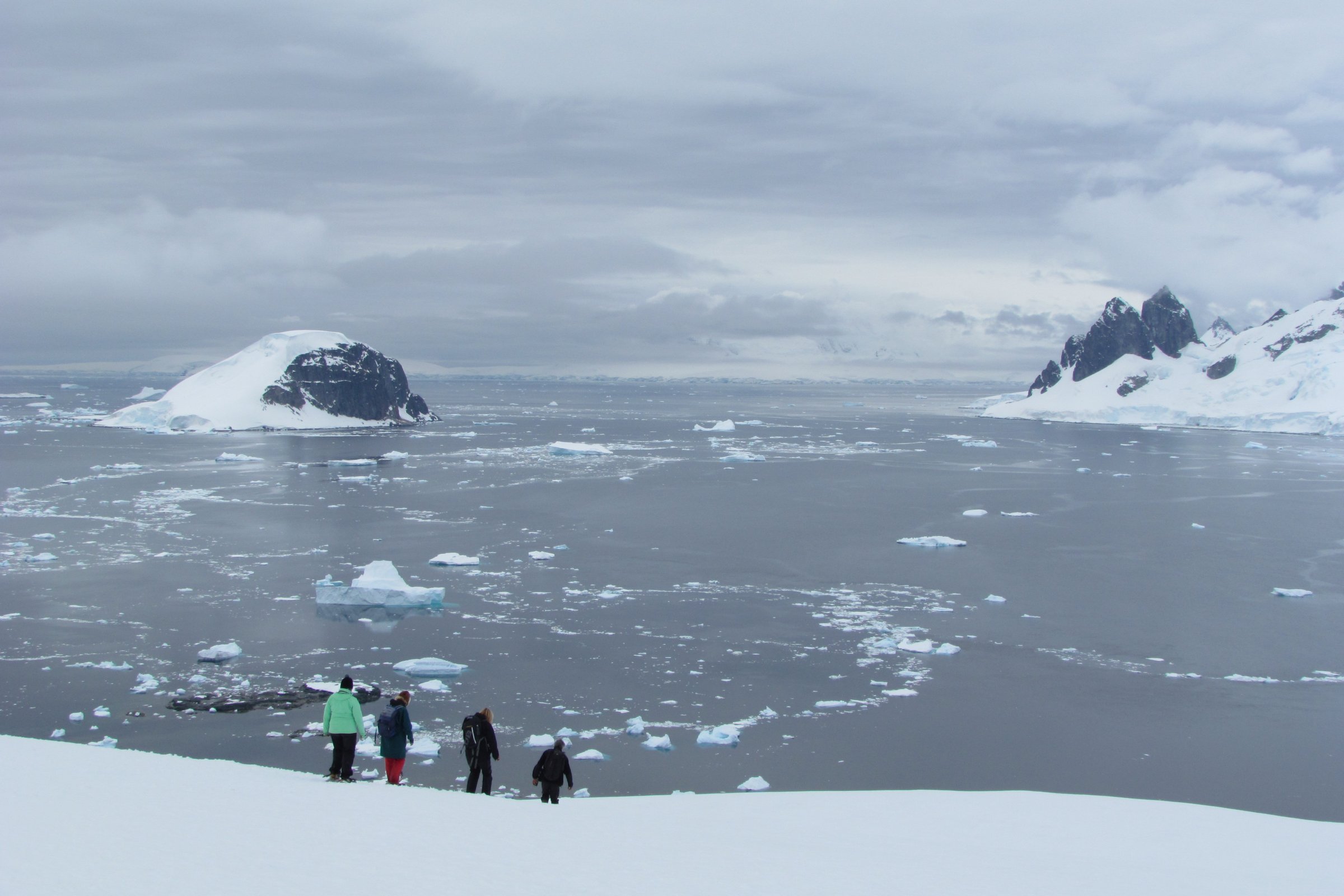 Danco Island · Antarktische Halbinsel — Foto: Oceanwide Expeditions