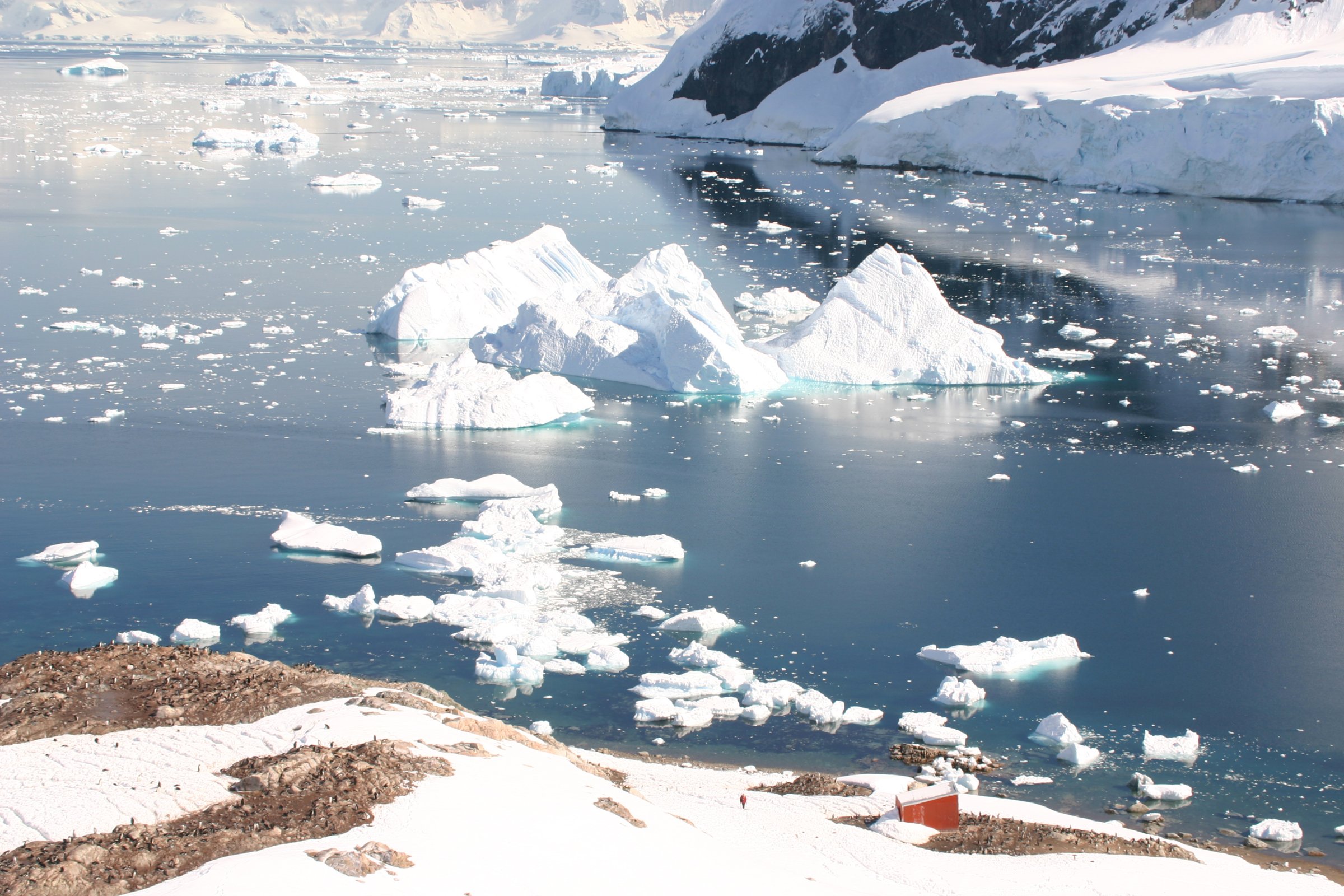 Neko Harbour · Antarktis — Foto: Oceanwide Expeditions
