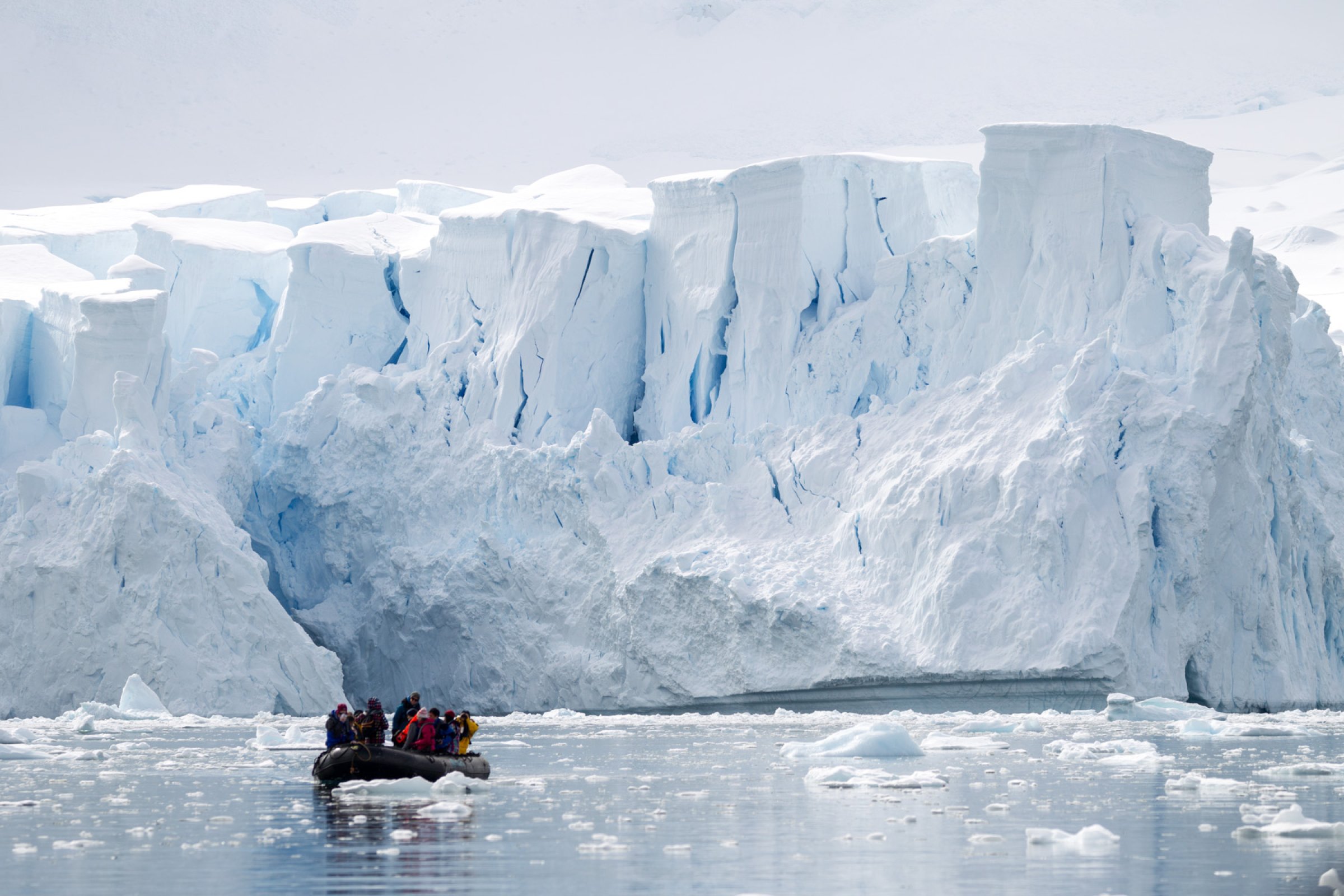 Zodiac-Tour in der Paradise Bay — Foto: Oceanwide Expeditions