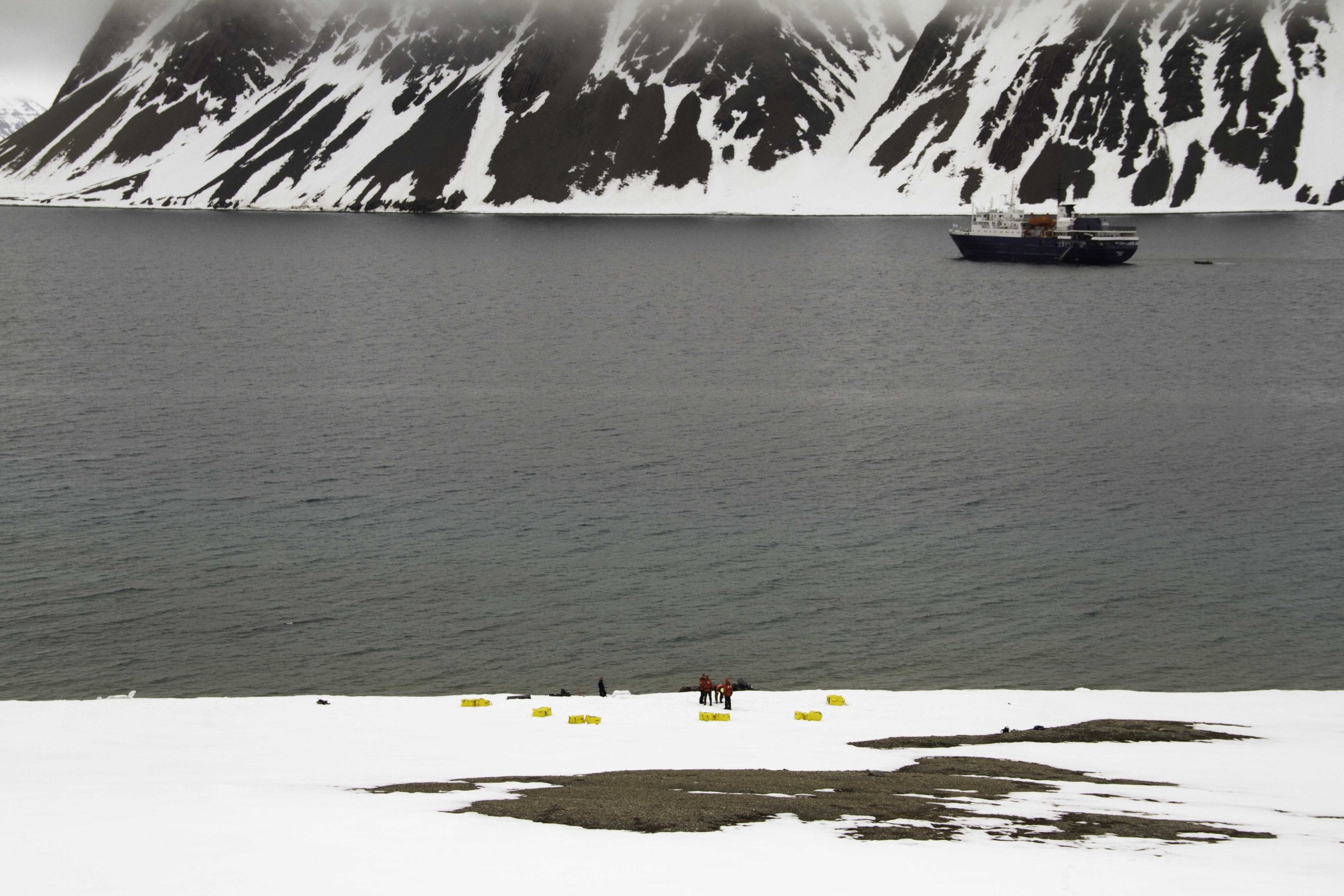 Faksevågen · Sommer-Spitzbergen — Foto: Oceanwide Expeditions