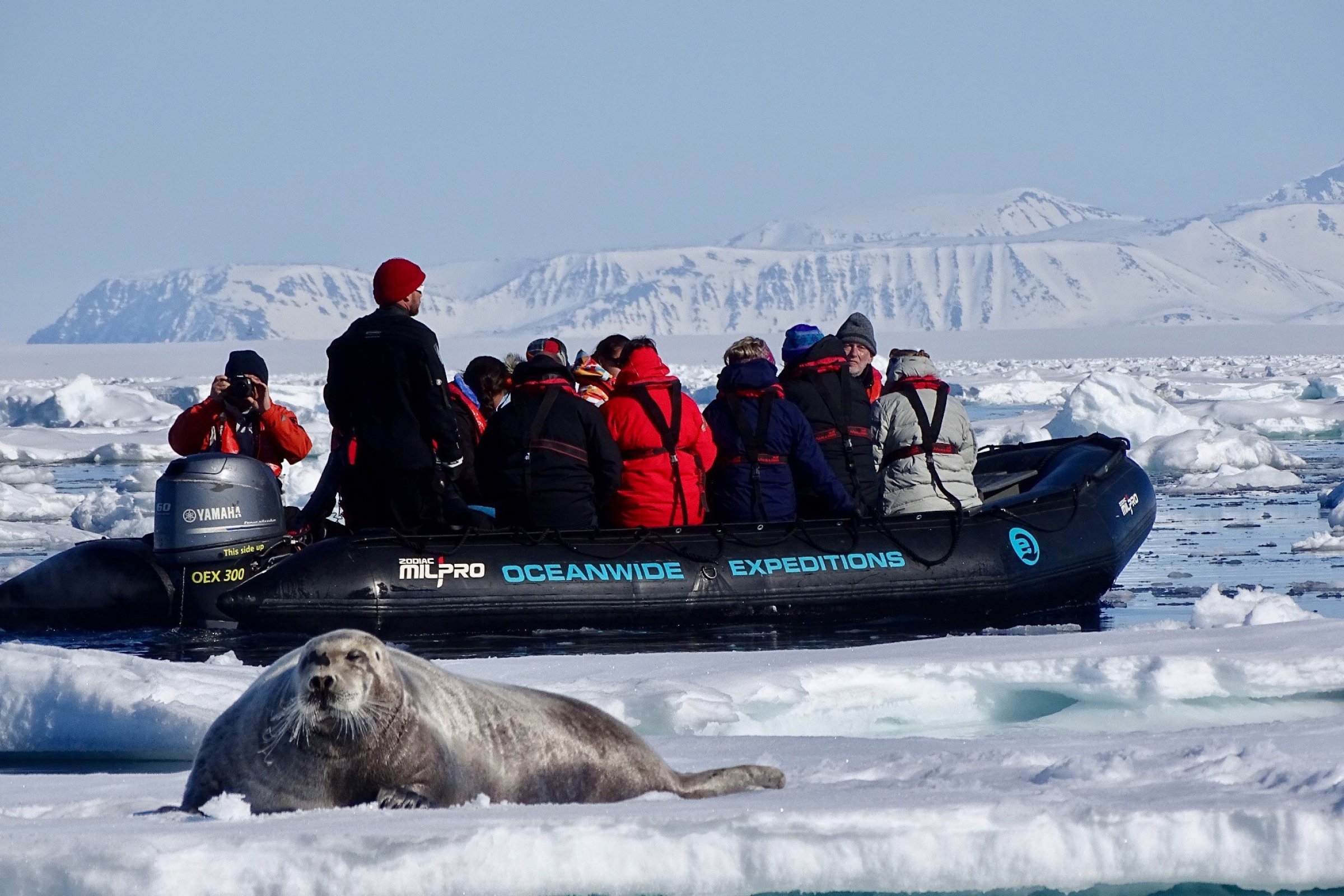Zodiac-Tour zur Bartrobben-Eisscholle — Foto: Oceanwide Expeditions
