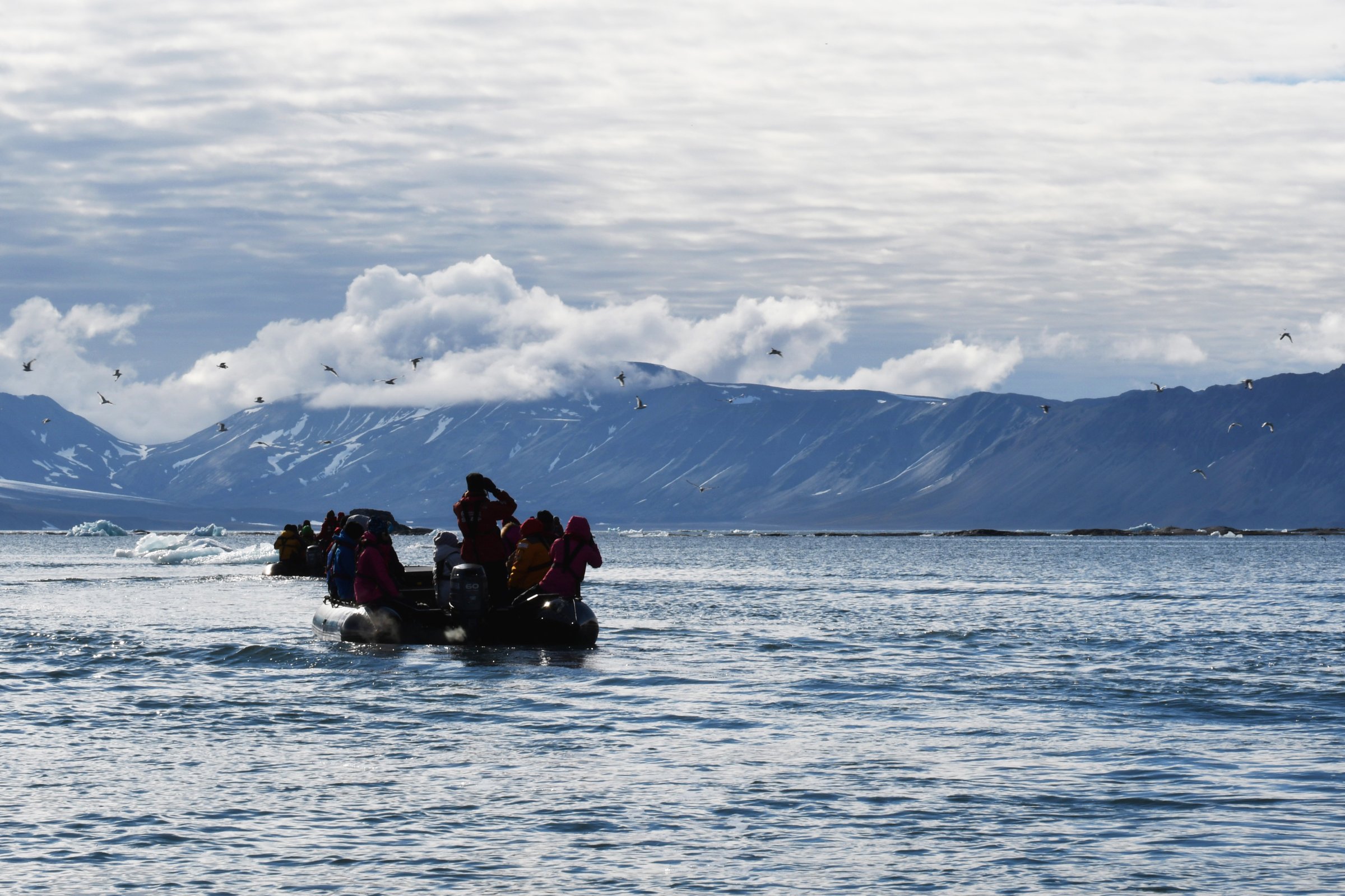 Zodiac-Tour im Hornsund · Süd-Spitzbergen — Foto: Oceanwide Expeditions