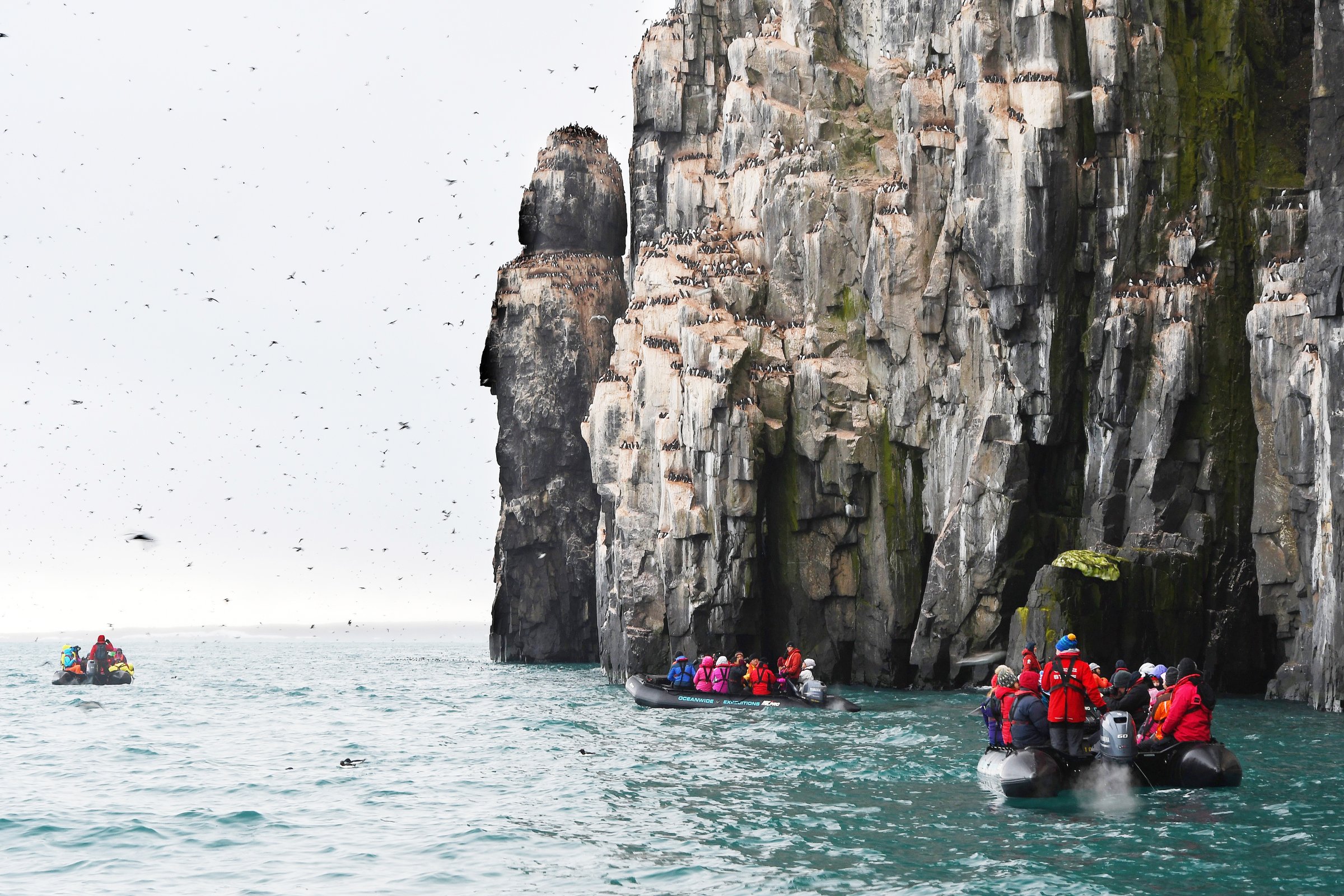 Alkefjellet · Vogelfels in der Hinlopenstraße — Foto: Oceanwide Expeditions