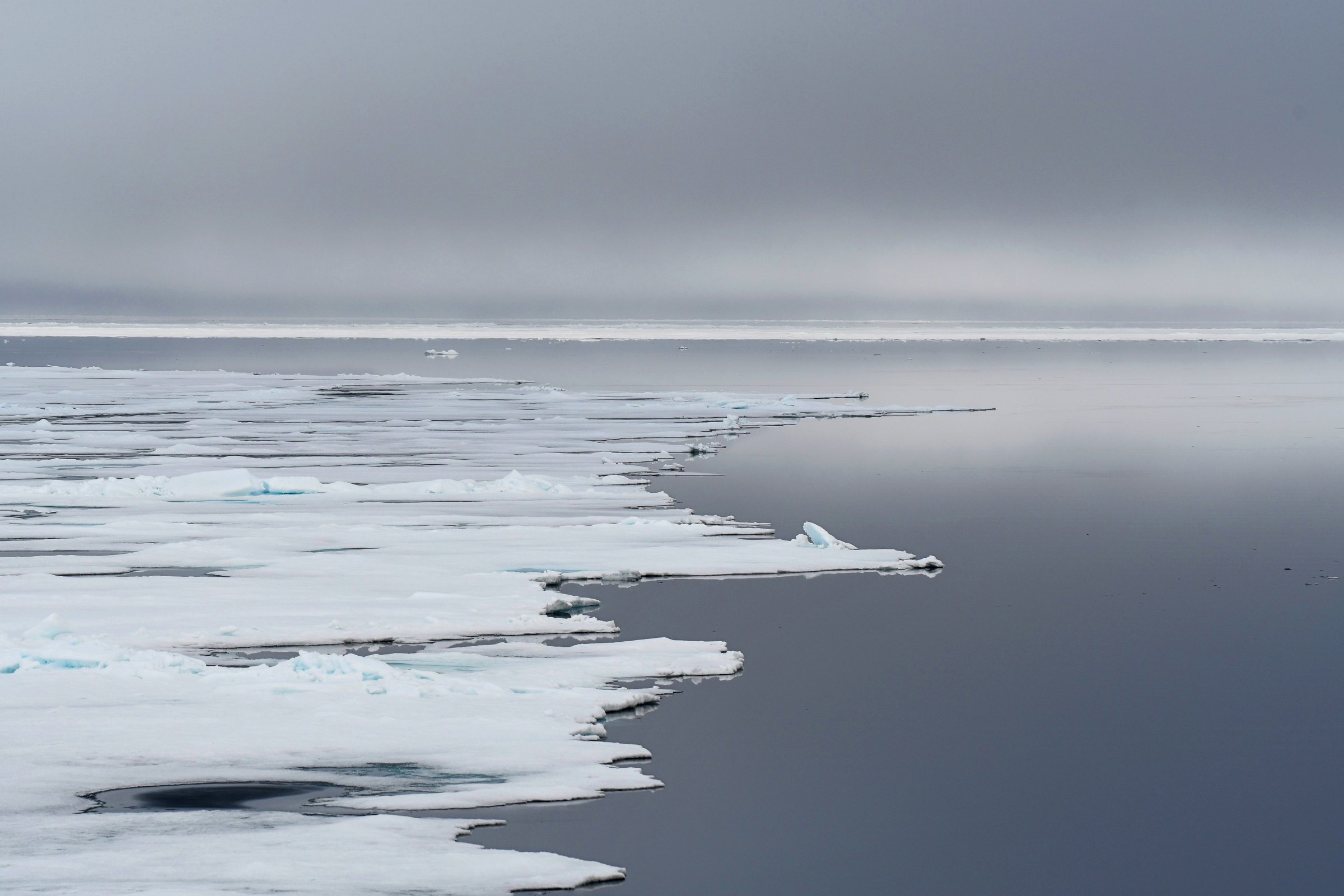 Packeis bei den Sieben Inseln · 80° Nord — Foto: Oceanwide Expeditions