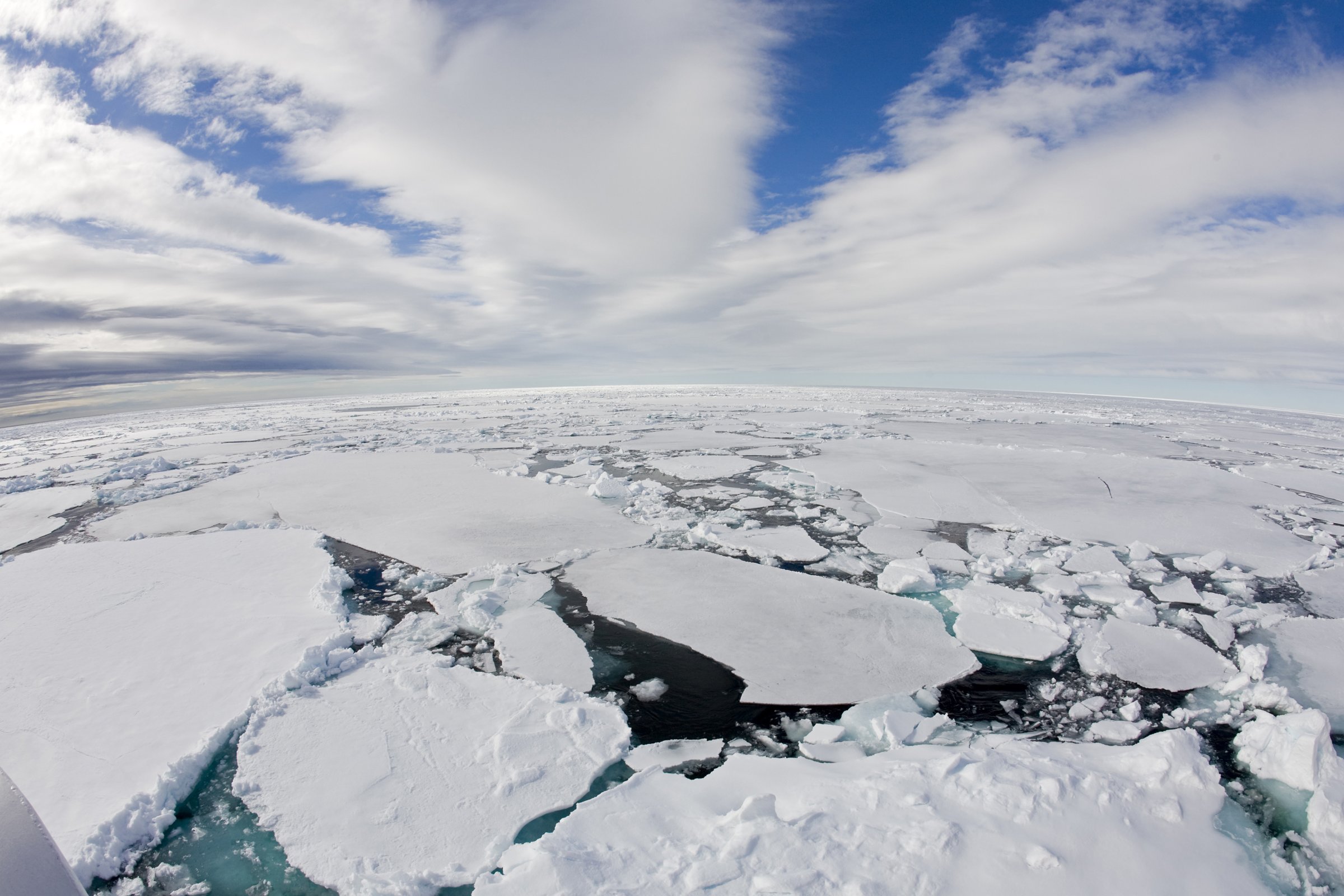 Packeis-Fahrt · Hoher Norden — Foto: Oceanwide Expeditions
