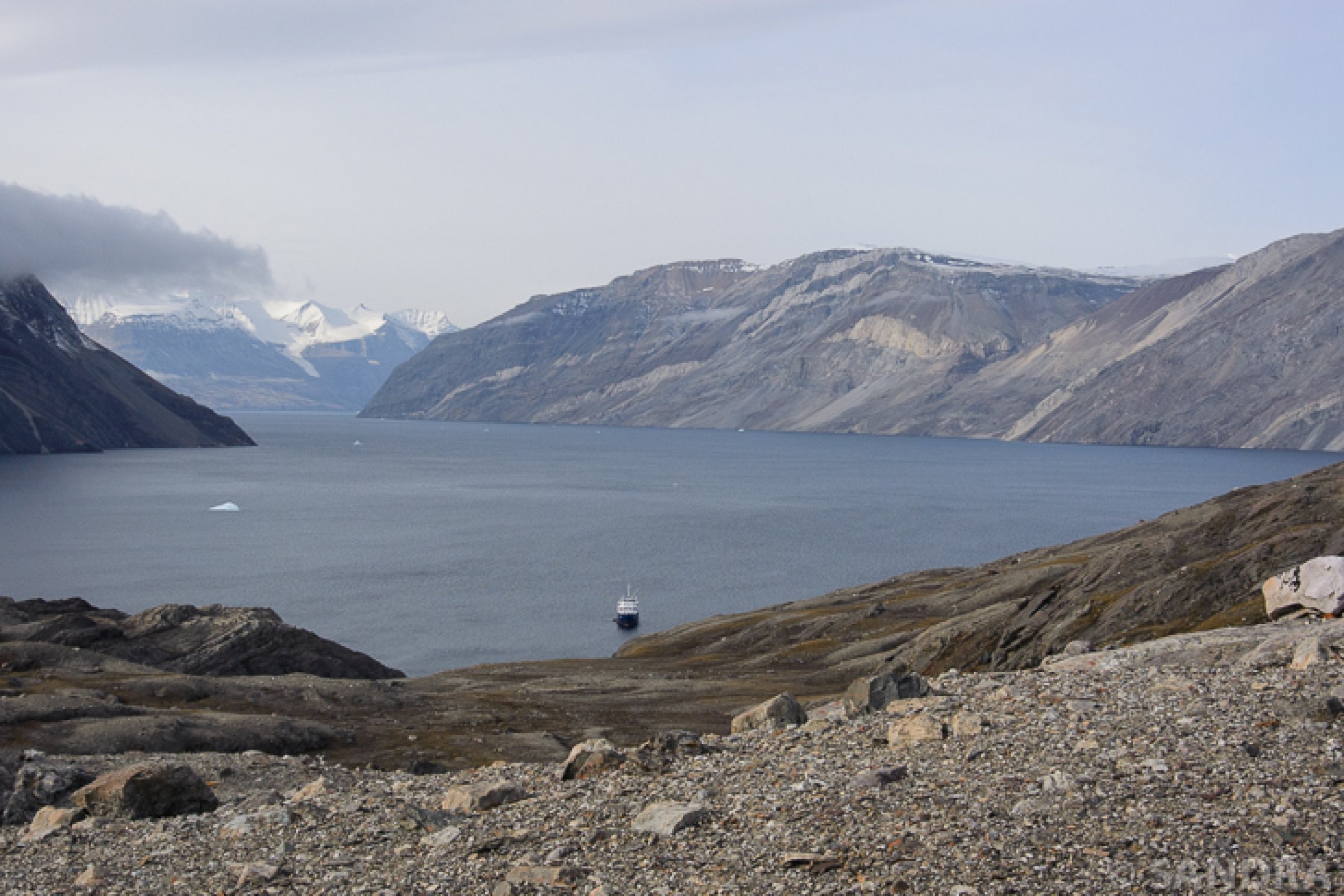 Blomsterbugt · Antarctic Sund — Foto: Oceanwide Expeditions