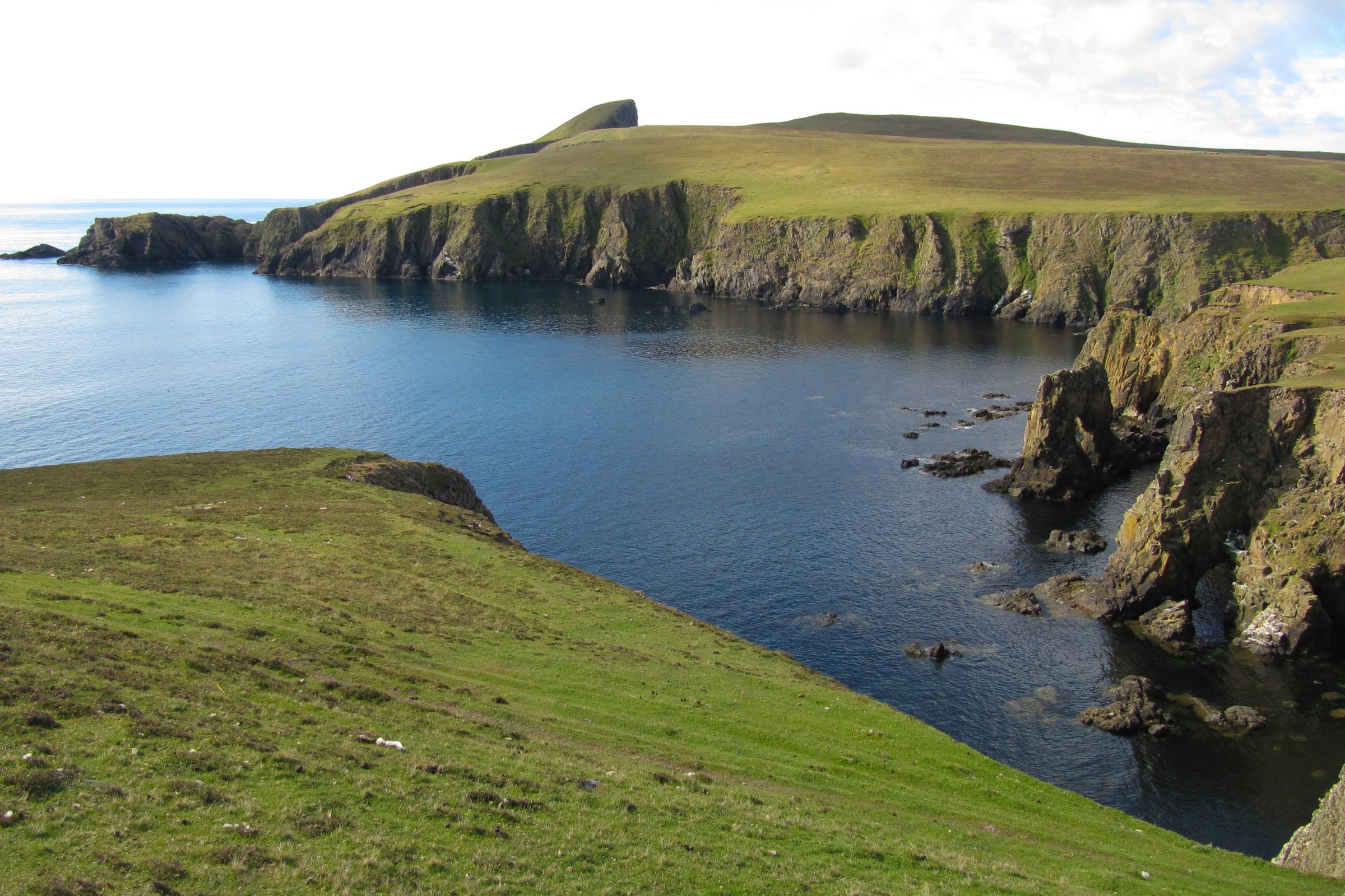 Fair Isle · letzte Schottland-Insel vor der Arktis — Foto: Oceanwide Expeditions