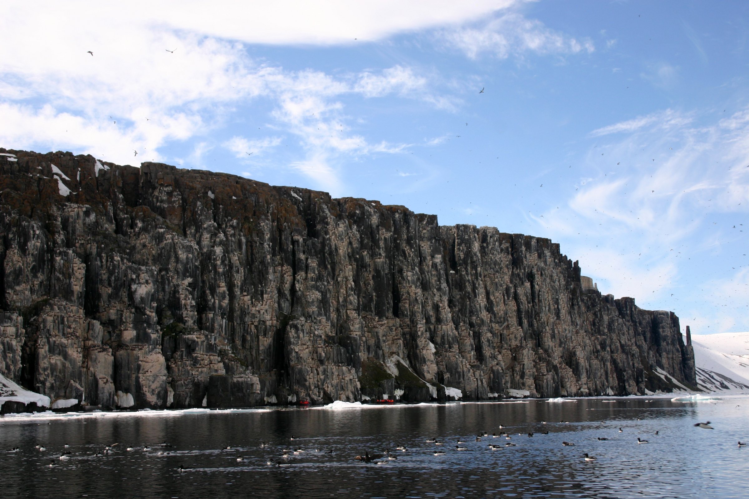 Alkefjellet · Vogelkliff am Hinlopen-Sund — Foto: Oceanwide Expeditions