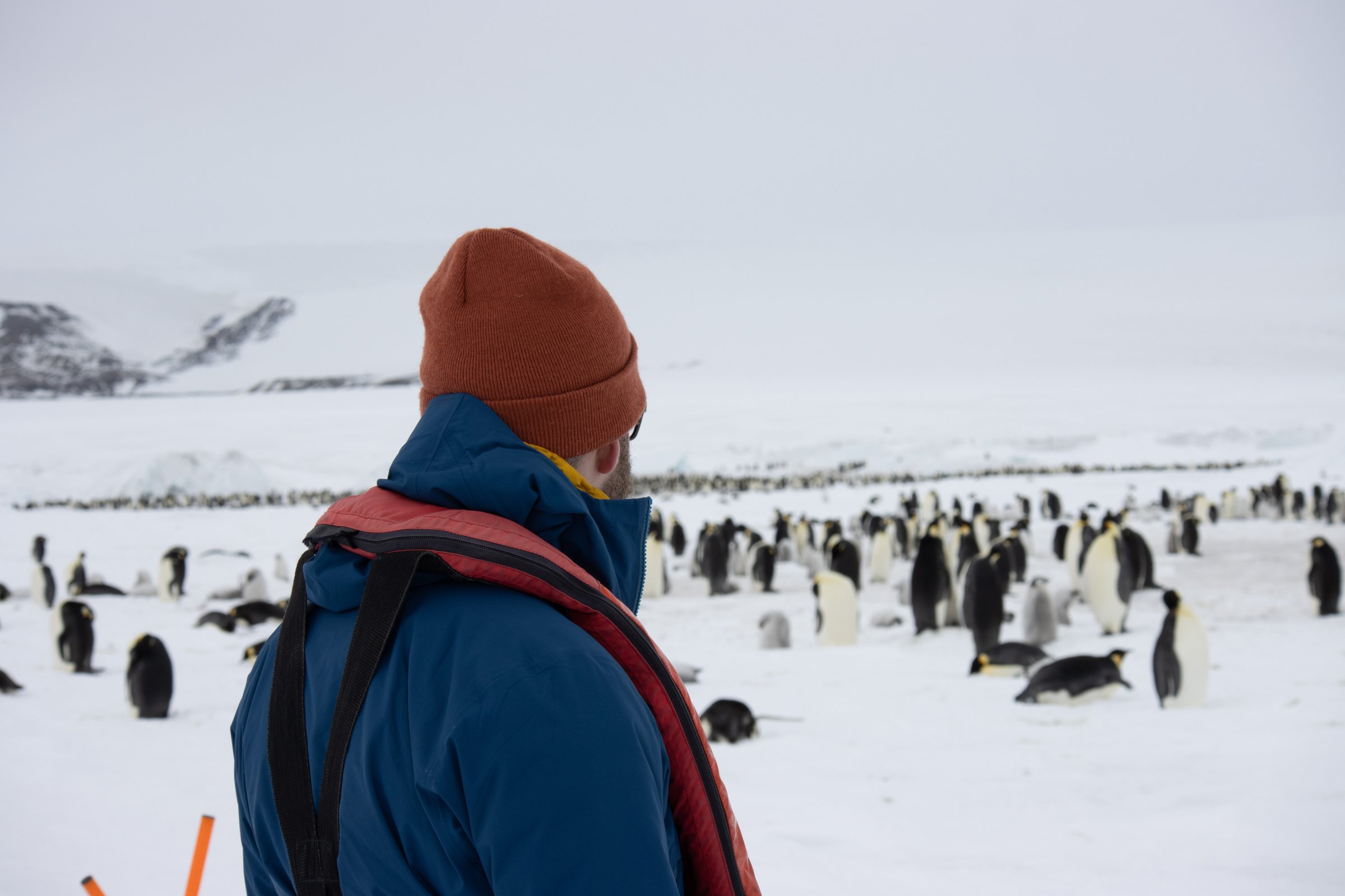 Spaziergang zur Pinguin-Kolonie — Foto: Oceanwide Expeditions