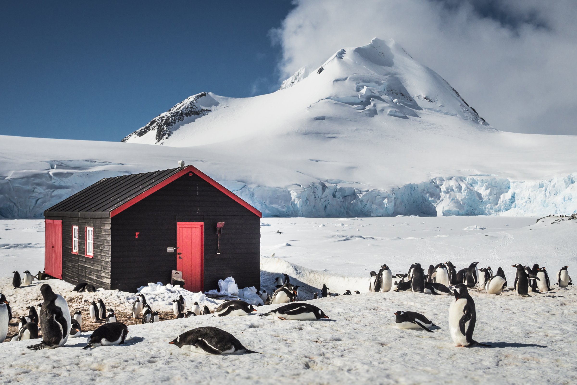 Port Lockroy · historisches Britisches Forschungsgebäude — Foto: Oceanwide Expeditions