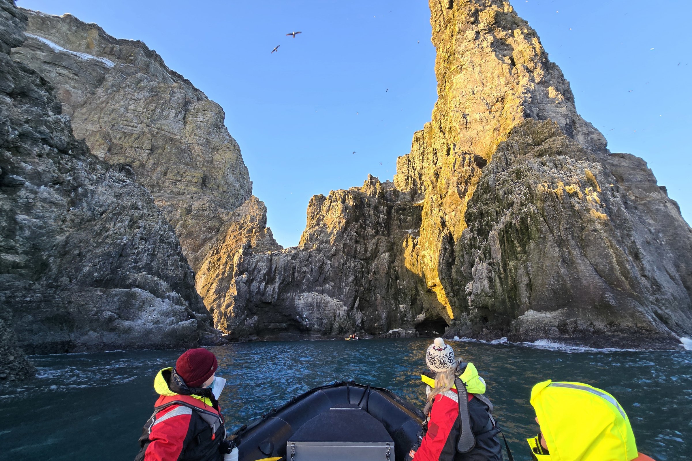 Bäreninsel · 400-Meter-Steilküste — Foto: PolarQuest