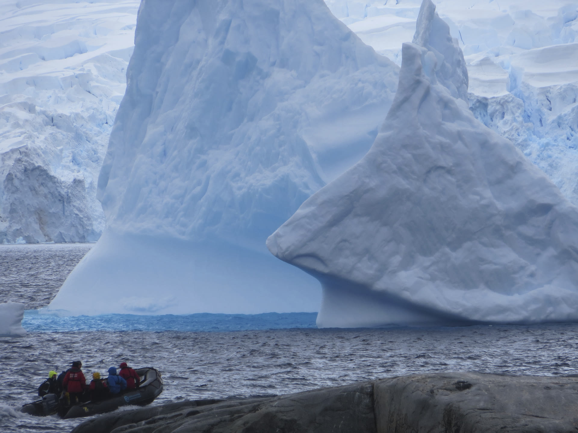 Petermann Island · Eselspinguine — Foto: Oceanwide Expeditions