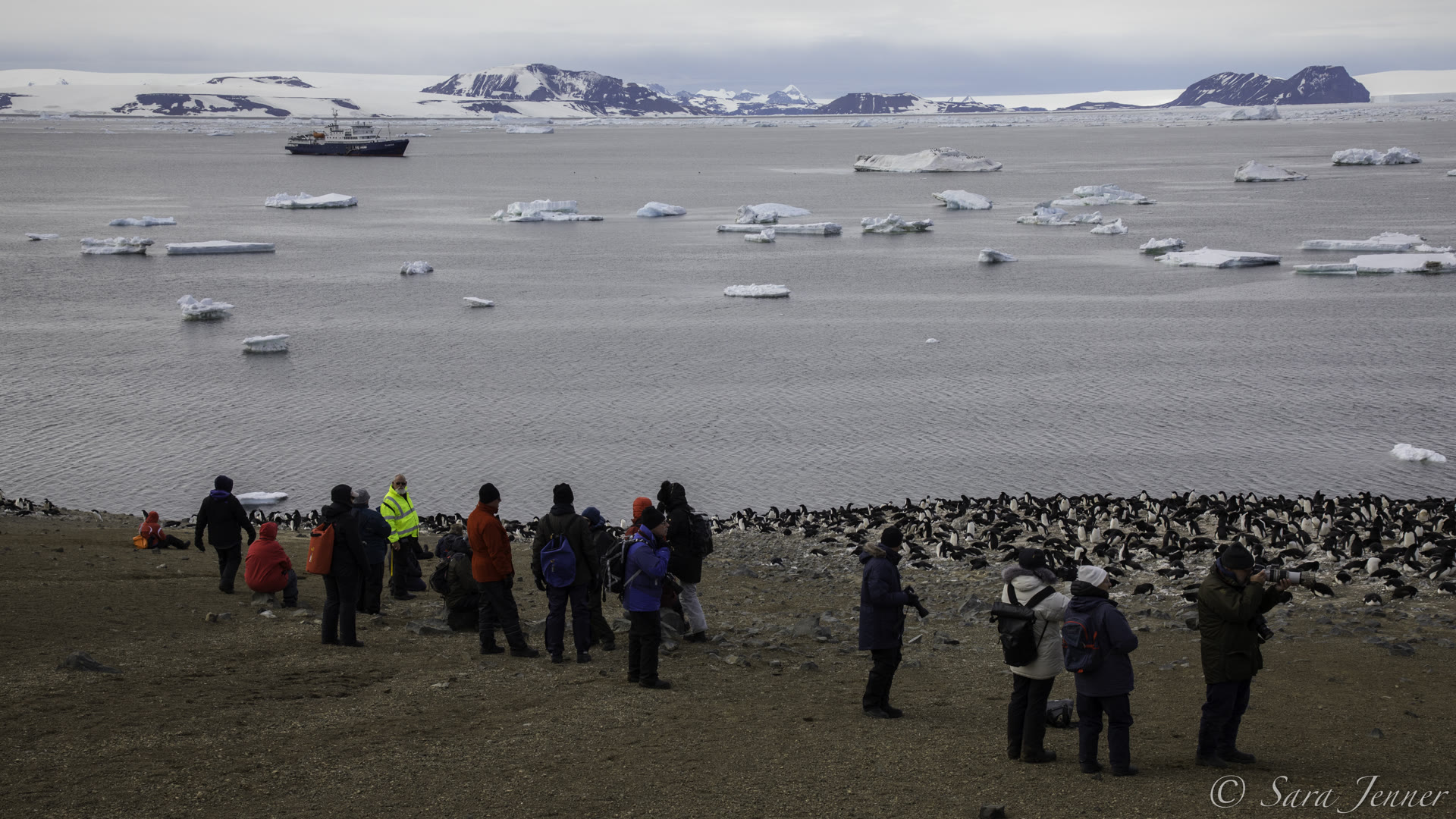 Devil Island · Erebus & Terror Gulf — Foto: Oceanwide Expeditions