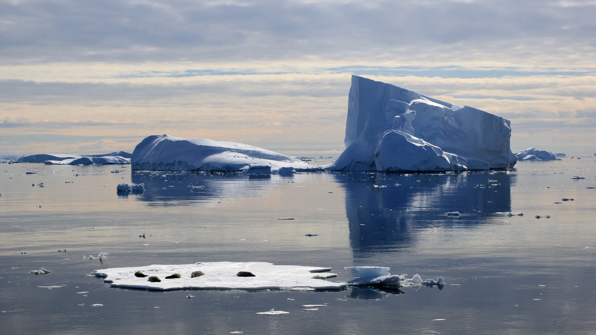 Crystal Sound · Eismeer — Foto: Oceanwide Expeditions