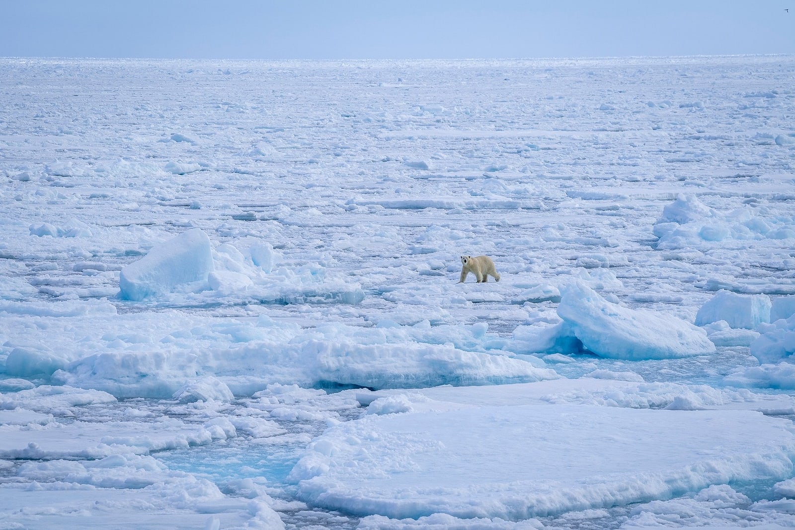 Foto: Poseidon Expeditions