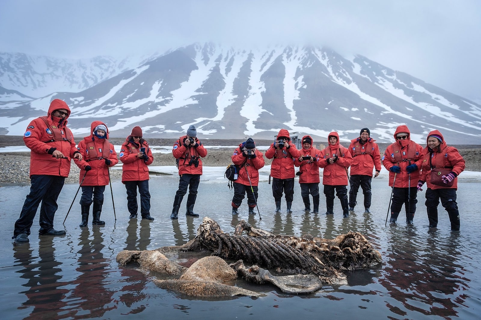 Foto: Poseidon Expeditions