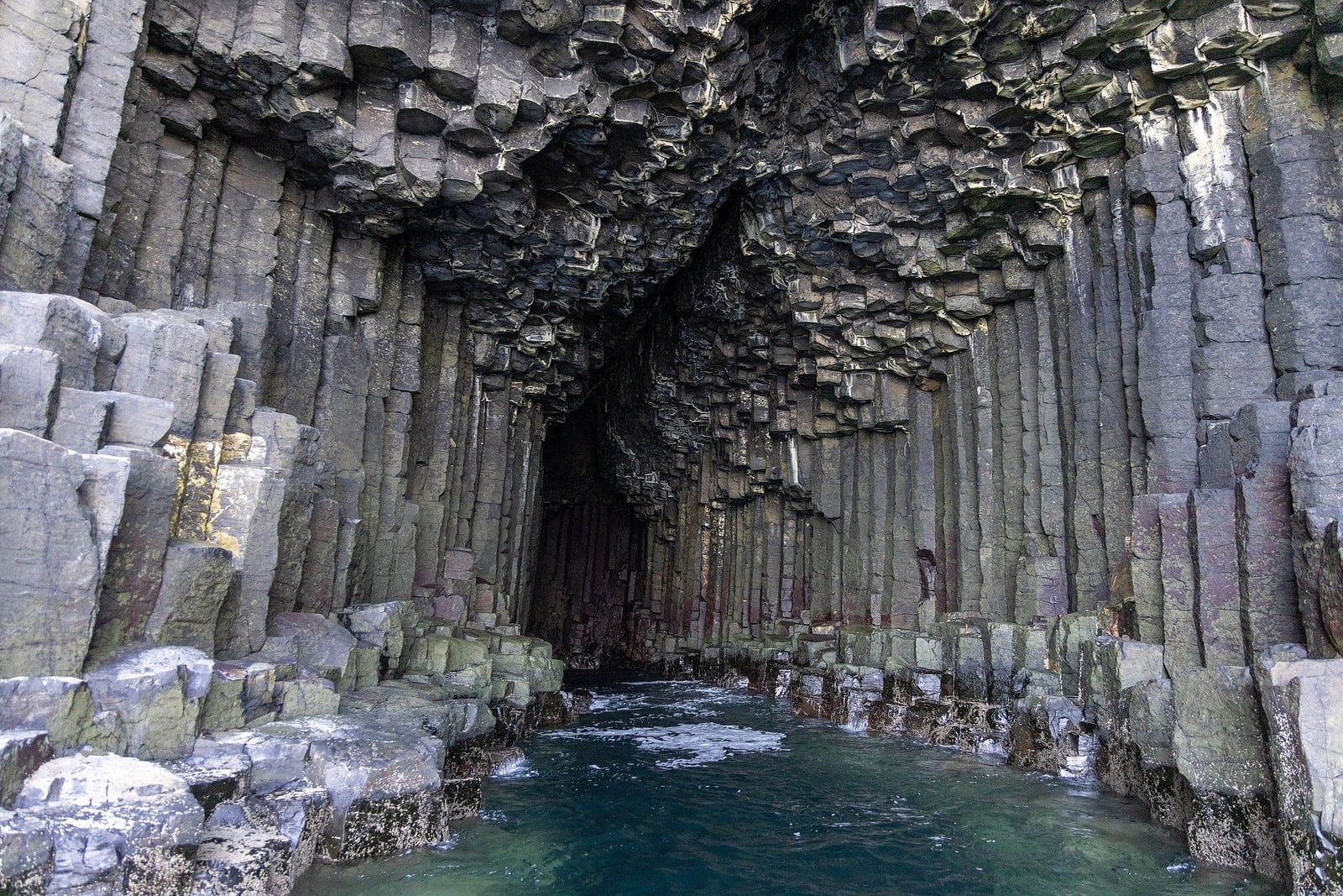 Tierbeobachtungen an Bord — Foto: Poseidon Expeditions
