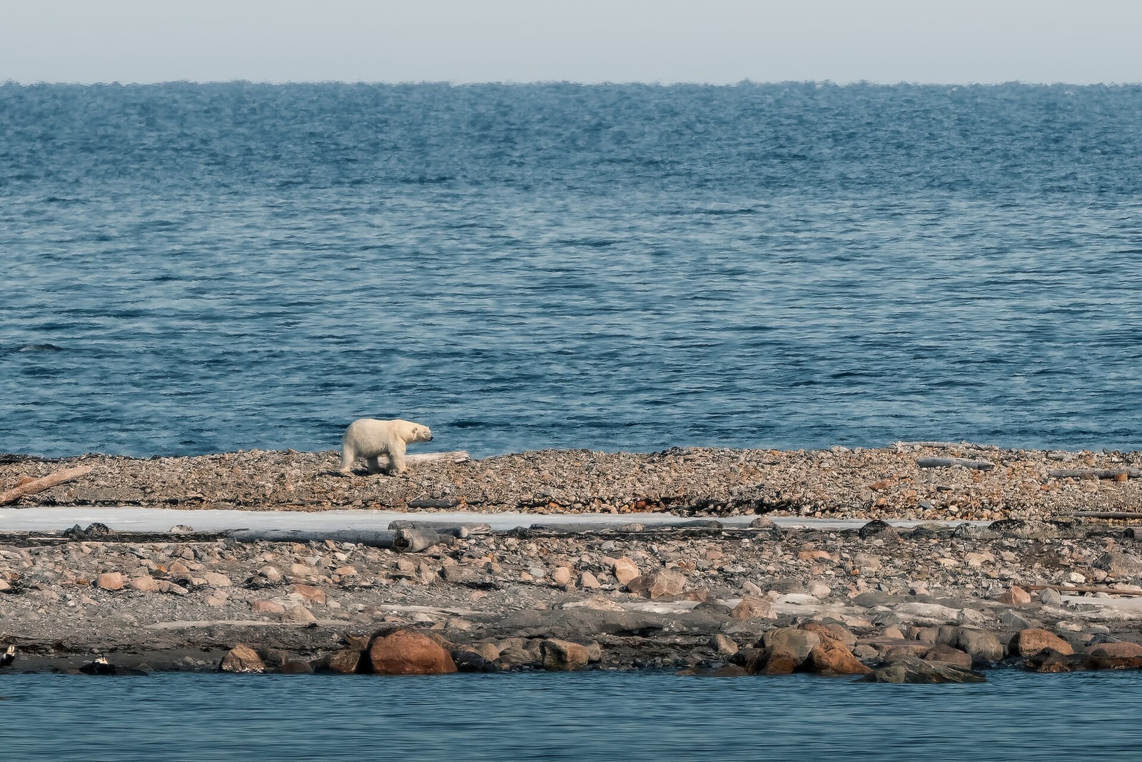 Foto: Poseidon Expeditions