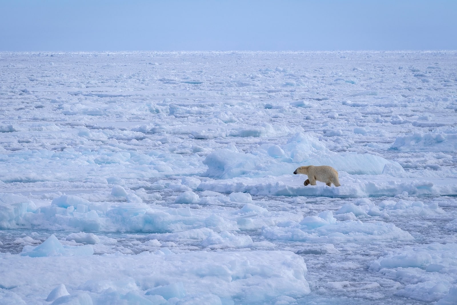 Foto: Poseidon Expeditions