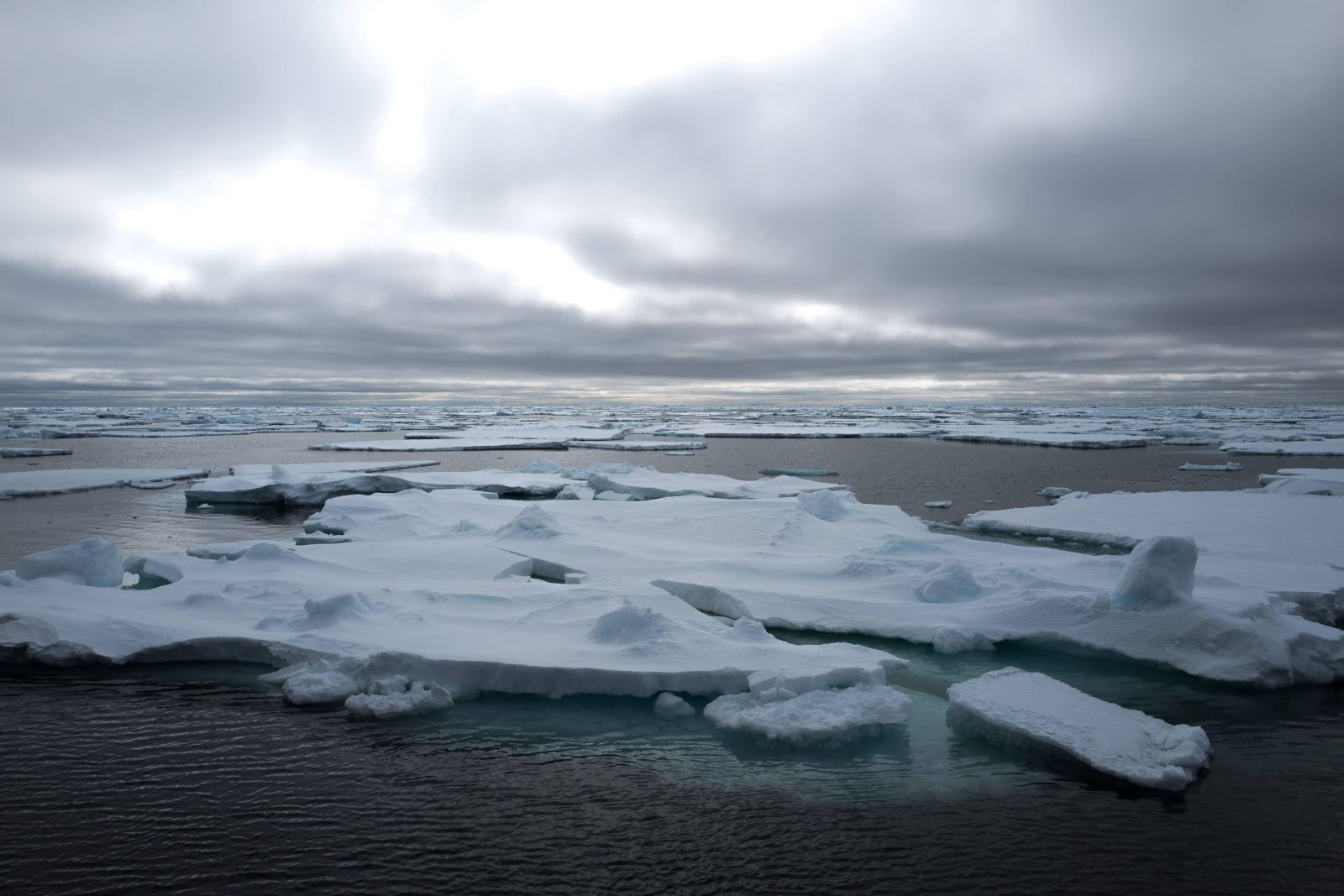 Foto: Oceanwide Expeditions