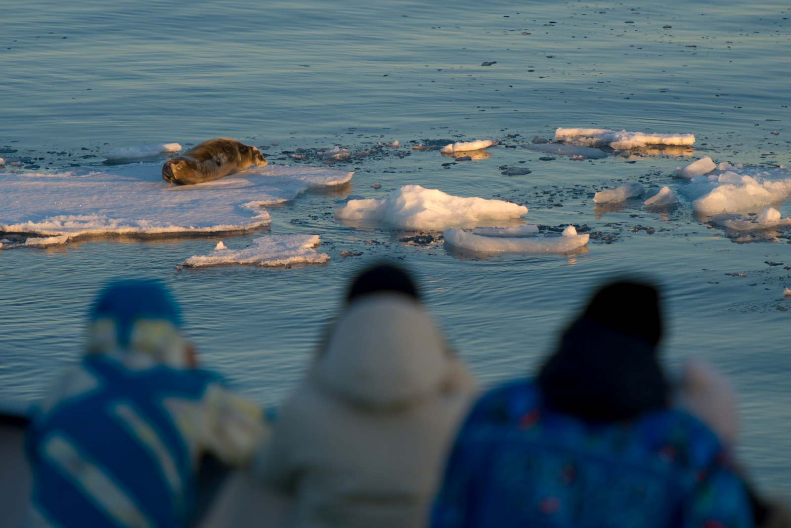 Foto: Oceanwide Expeditions