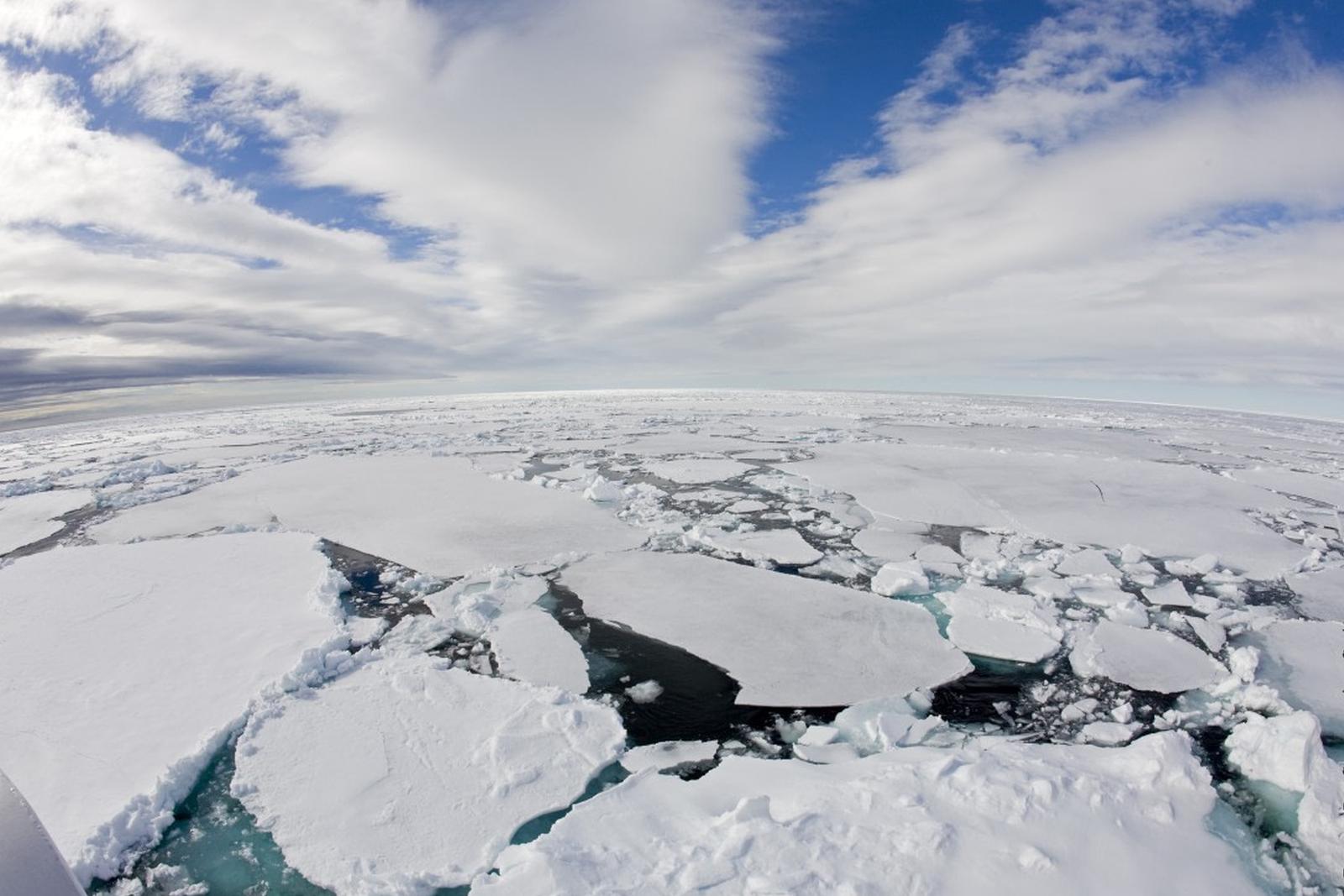 Foto: Oceanwide Expeditions