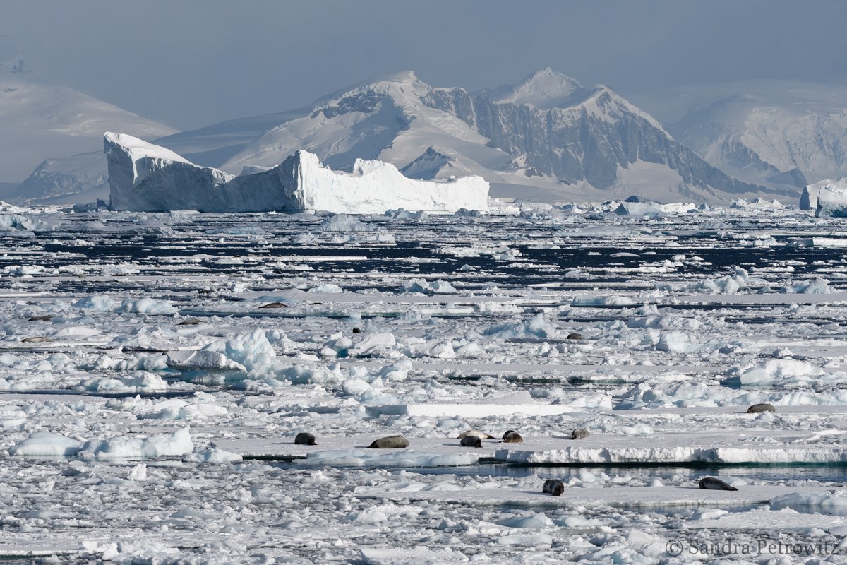 Foto: Oceanwide Expeditions