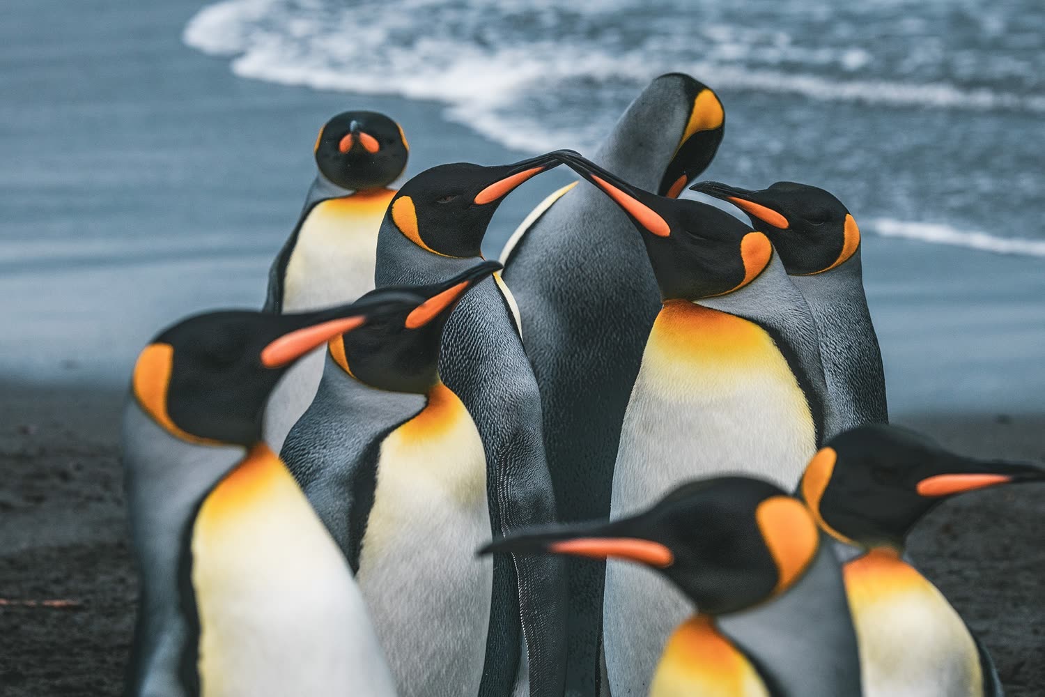 Reiseeindruck 1 — Foto: Poseidon Expeditions