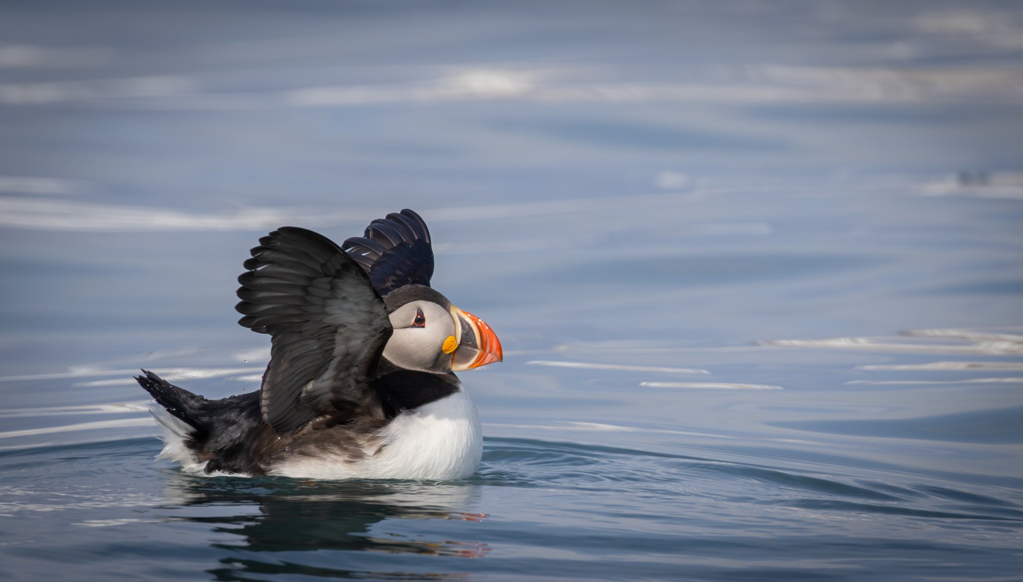 Foto: Patrik Jonasson