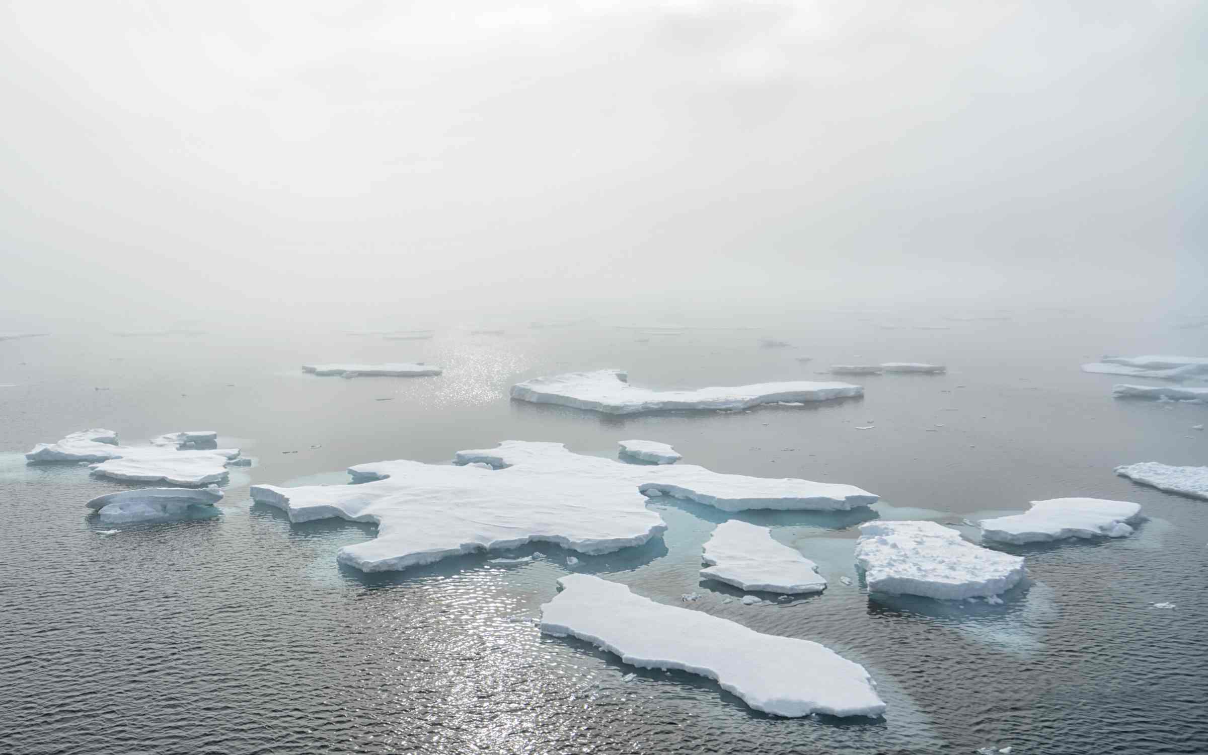 Nordwest-Island-Entdecker – Auf ins grönländische Meereis - Sommersonnenwende