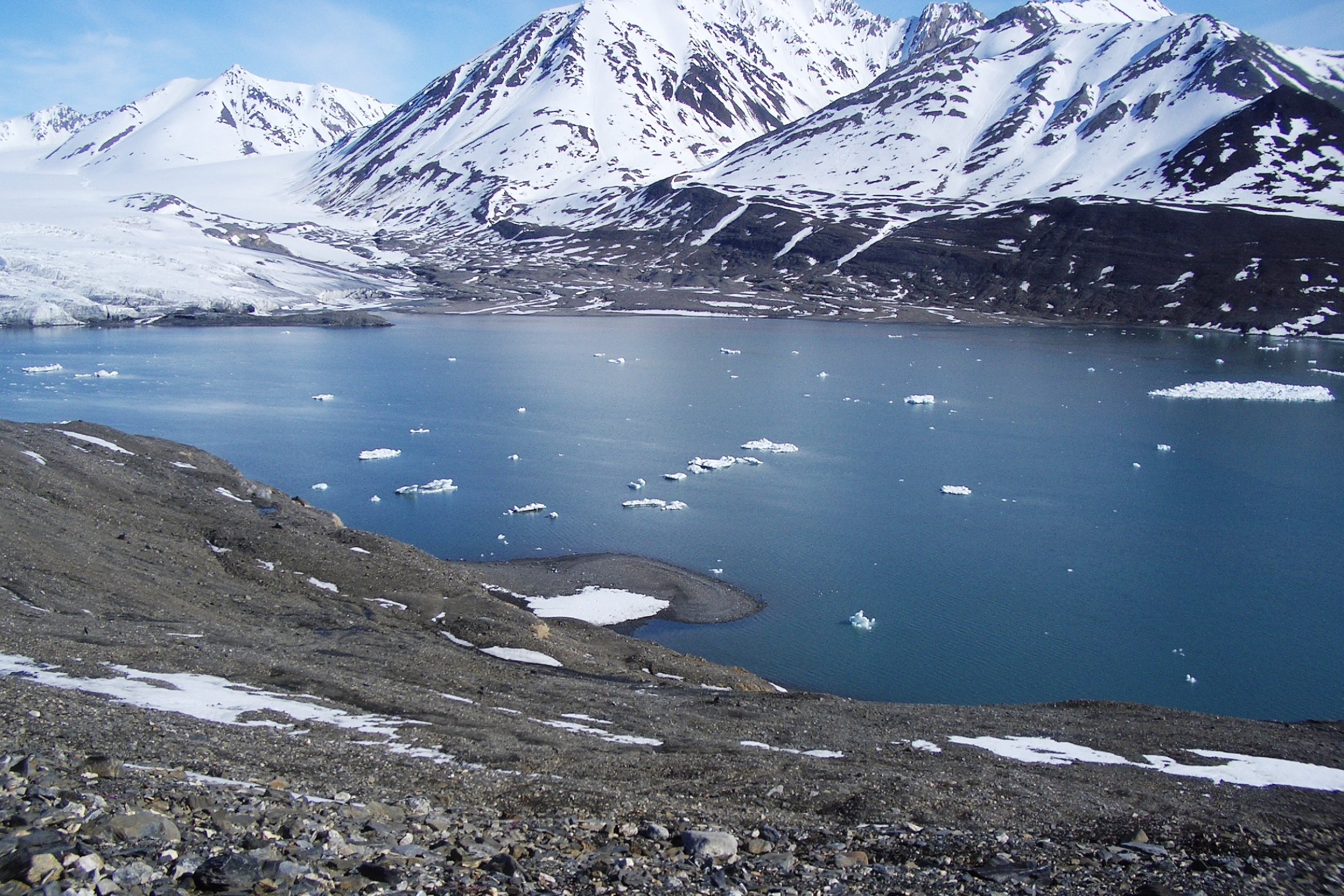 Nordspitzbergen Entdecker – Tief ins Packeis - Eisbär Spezial - Sommersonnenwende