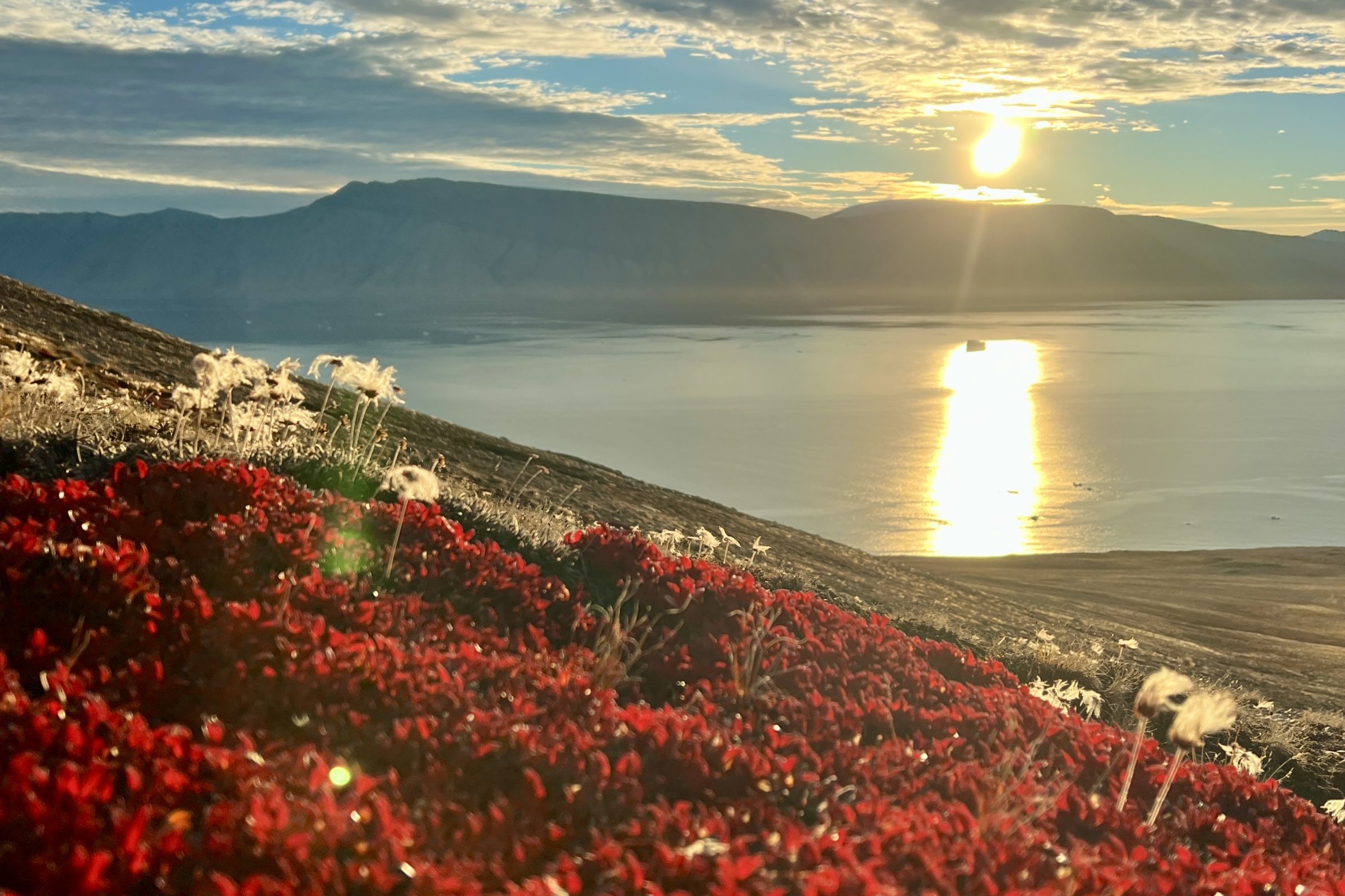 Spitzbergen, Nordostgrönland und Scoresby Sund, inklusive langer Wanderungen